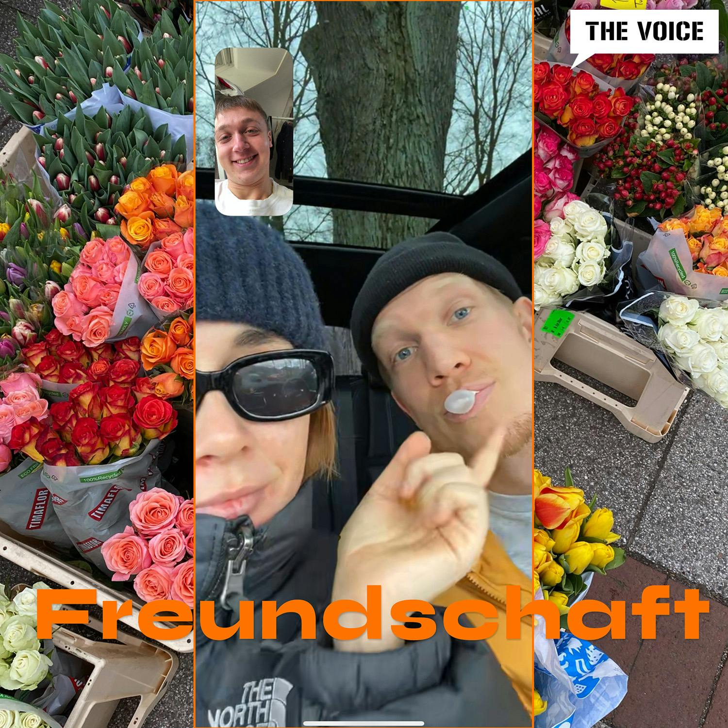 Freundschaft & friends