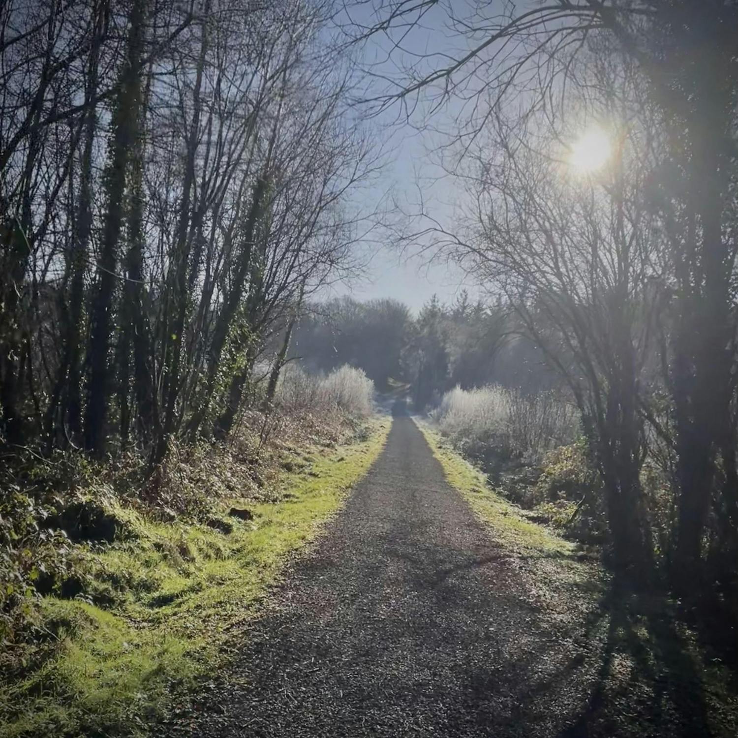 Christmas walks with a story