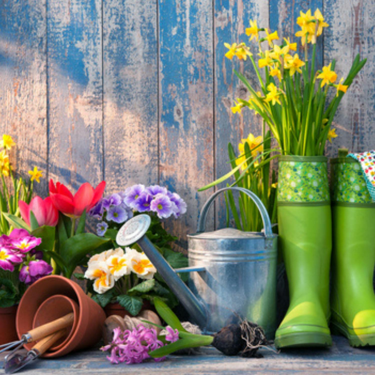 Garden jobs after the recent storms