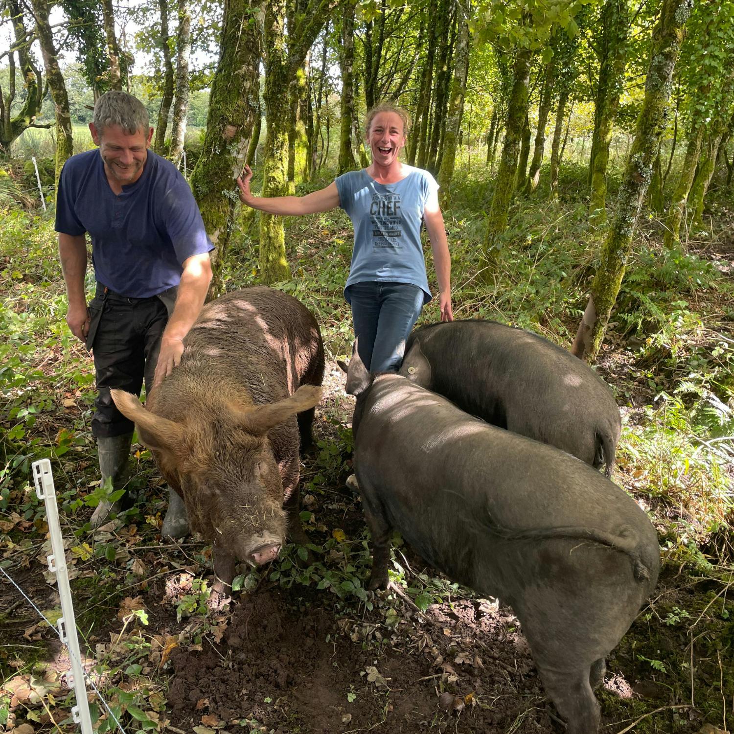The costs of our food from farm to fork