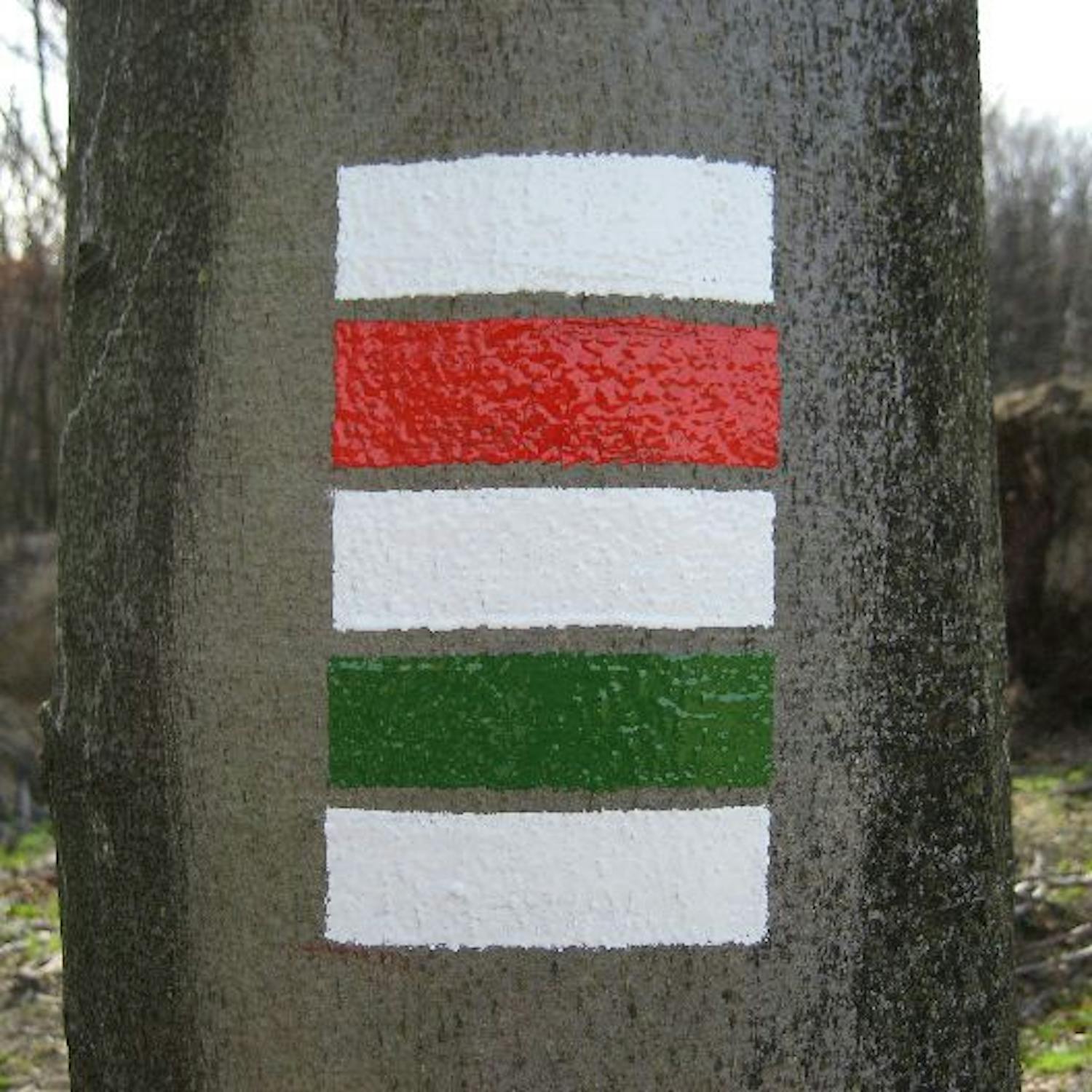 Môže sa značkár turistického značenia stratiť v lese? Môže sa značkár turistického značenia stratiť v lese?