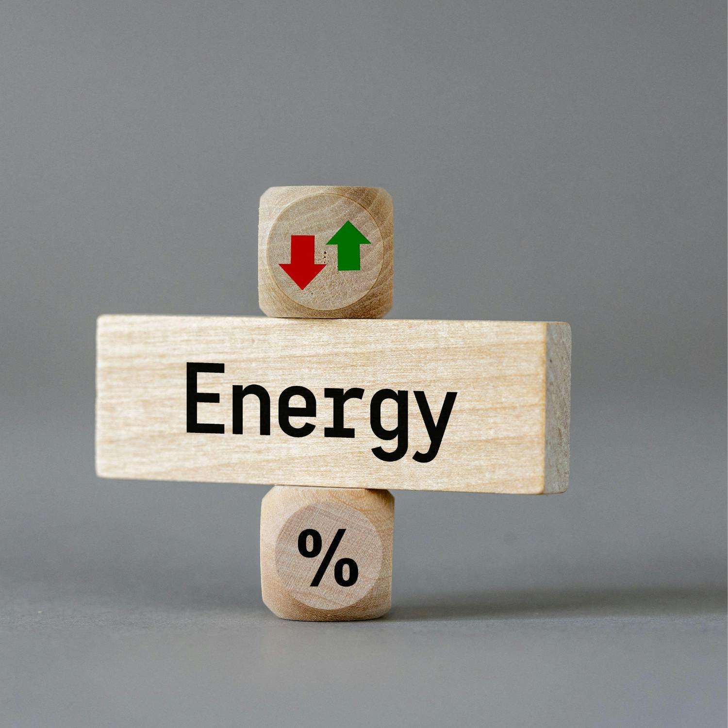 People Before Profit energy credit proposal