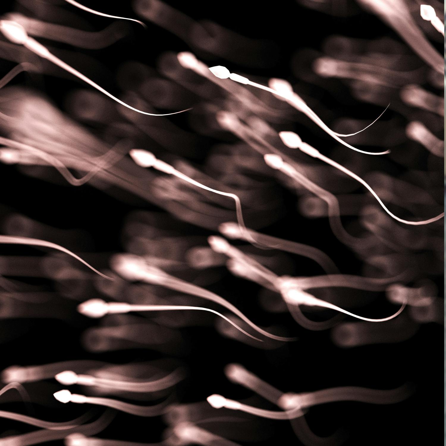Has sperm quality decreased overtime?