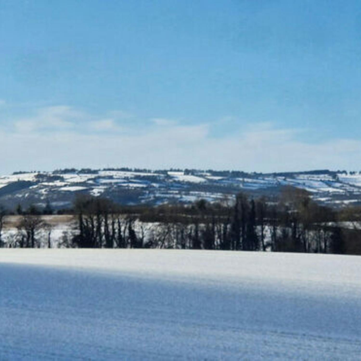 Weather impacts on the water and rail networks