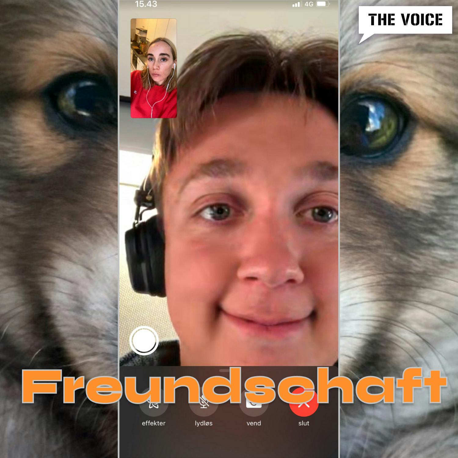 Freundschaft & friends