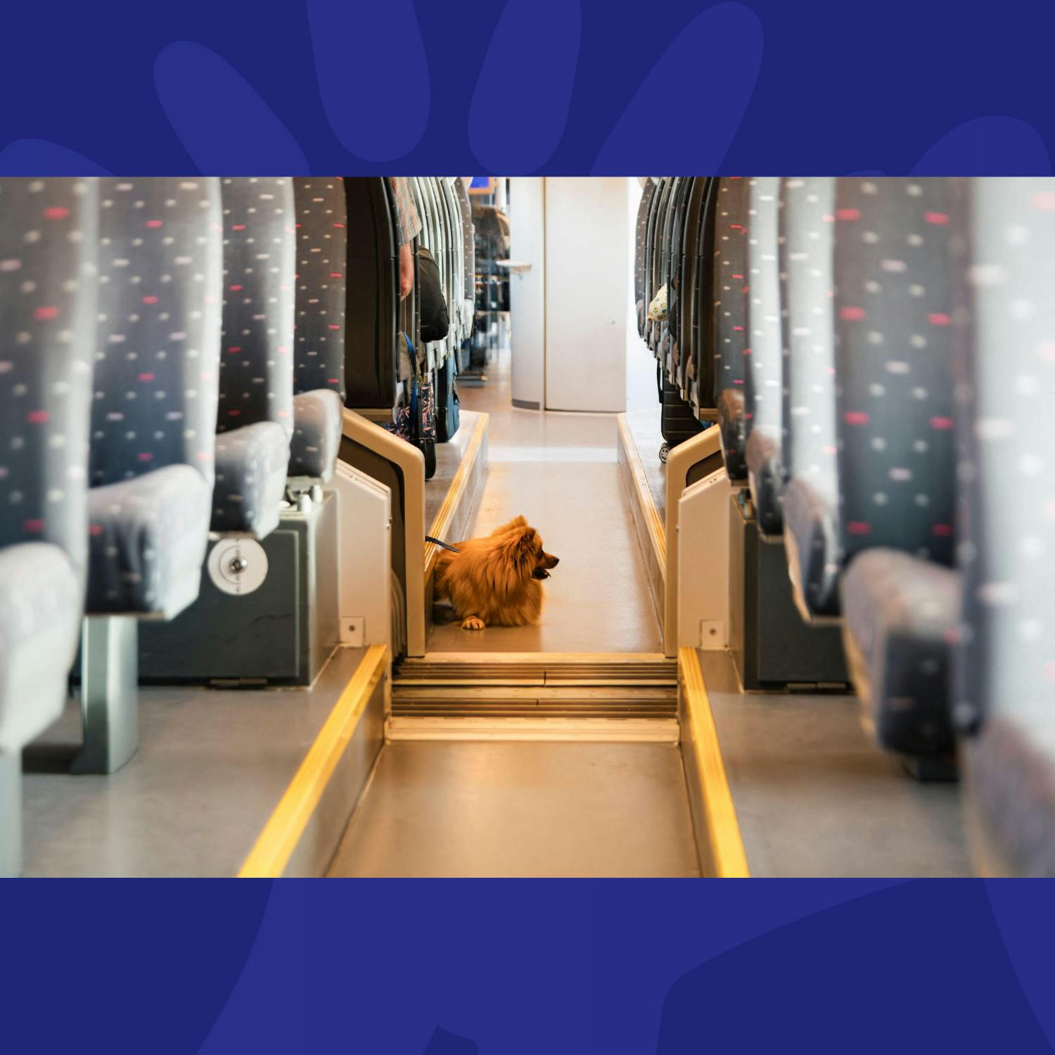 The Week Trending: Epstein Files Float, Pets On Public Transport, & Meath Home Demolition