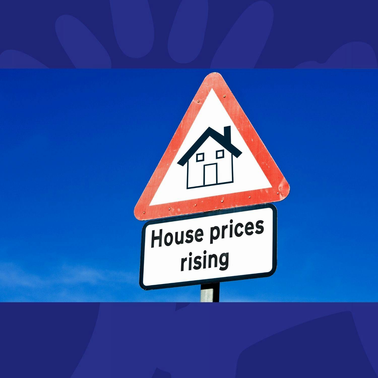 How is 'Opaque Bidding' Contributing to the Housing Crisis?