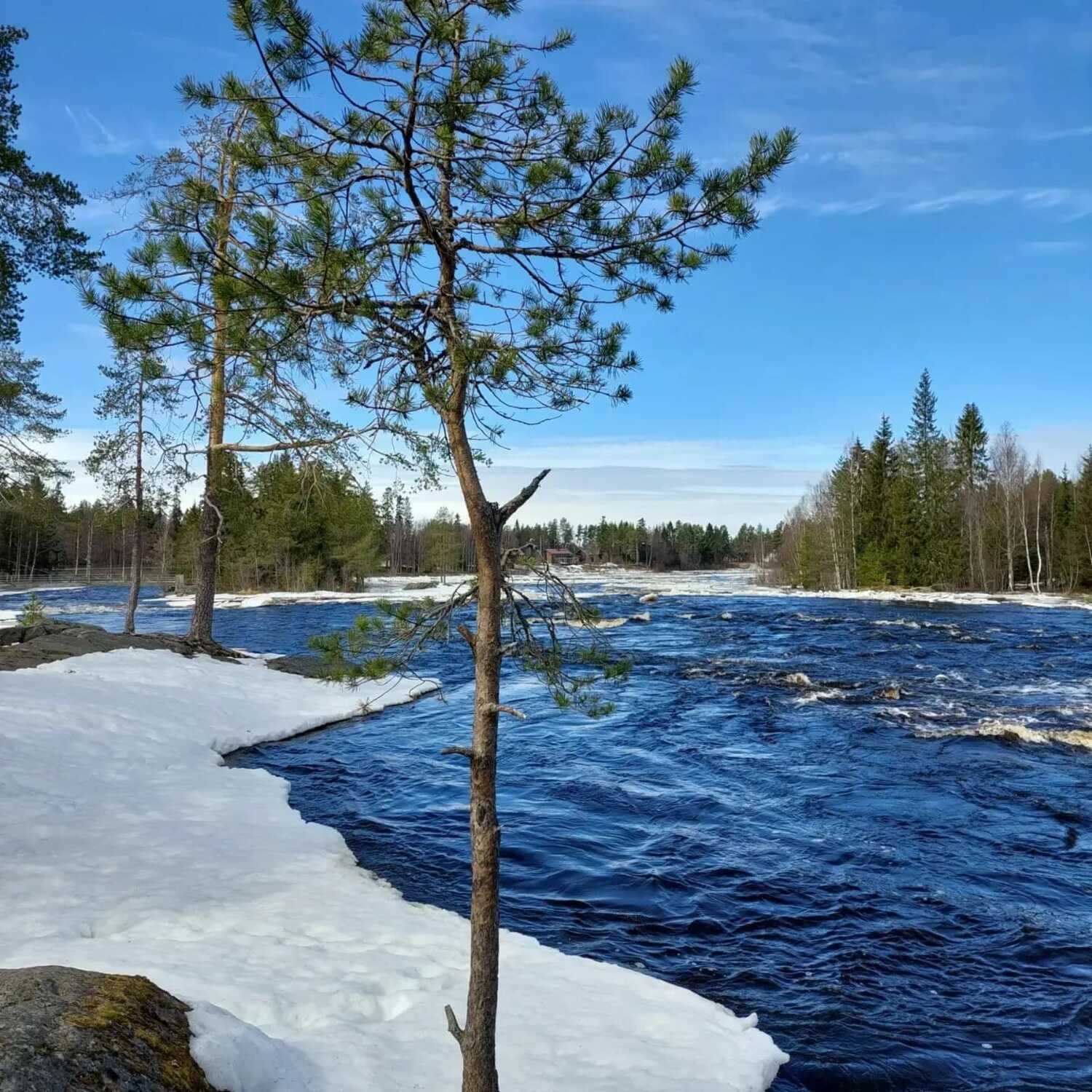 Radio Pookin Laavulla