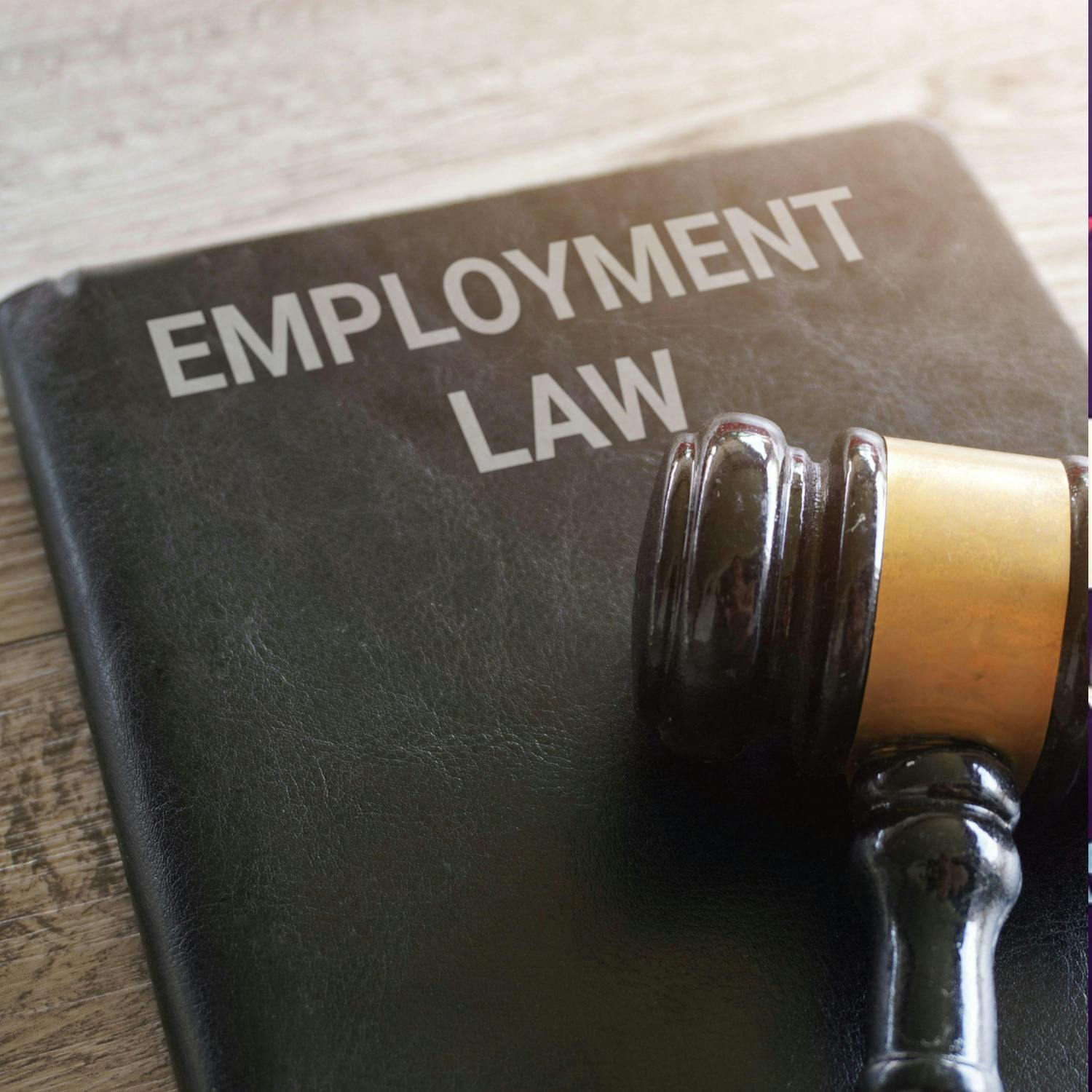Ask The Expert: On employment law Ask The Expert: On employment law