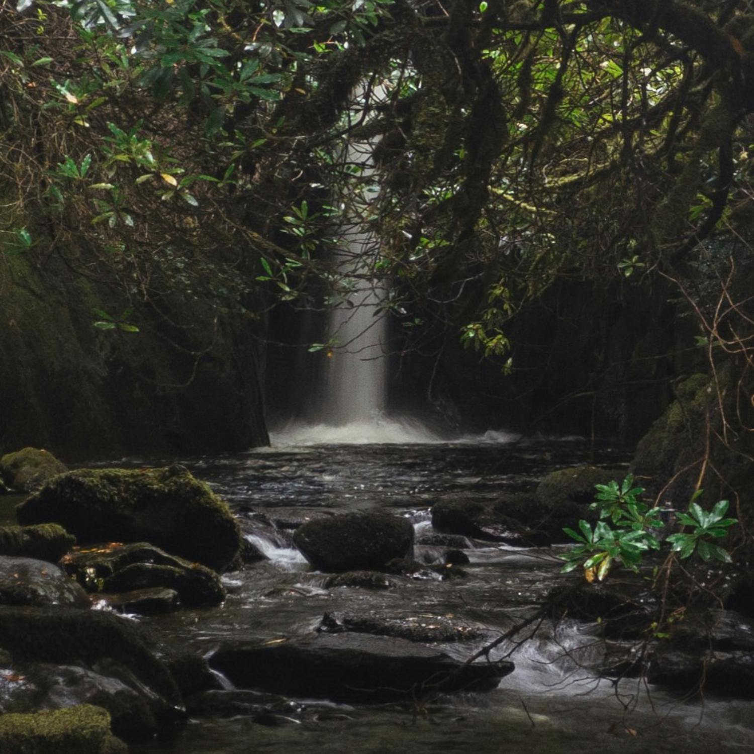 What’s in Ireland’s ‘Fab 50’ travel list?