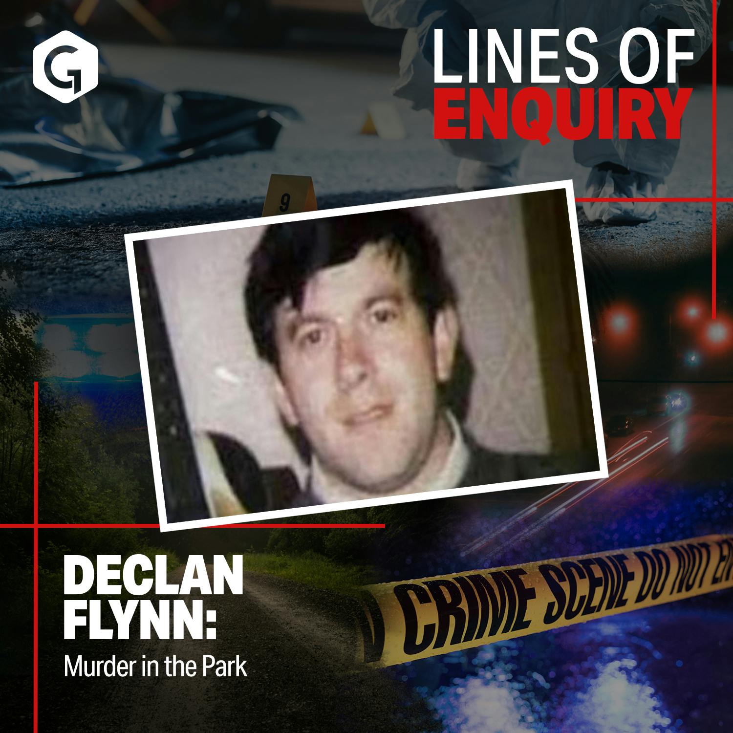 Declan Flynn: Murder in the Park