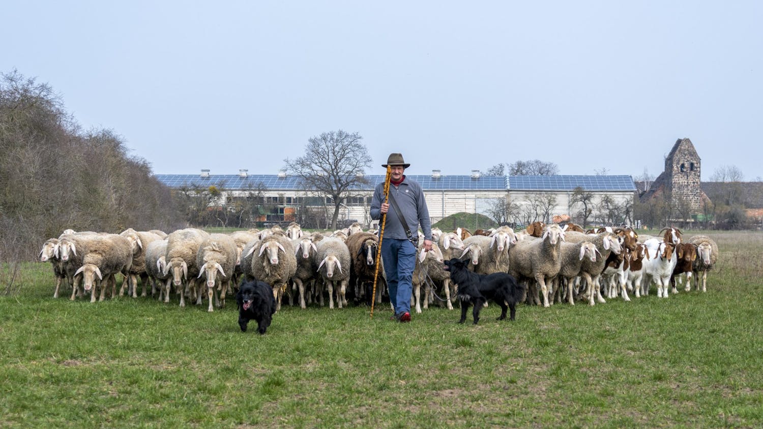 Farming with Mairead Lavery
