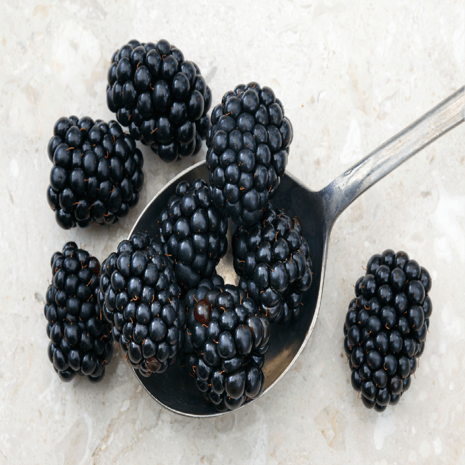 cover of episode You Are What You Eat: Blackberries