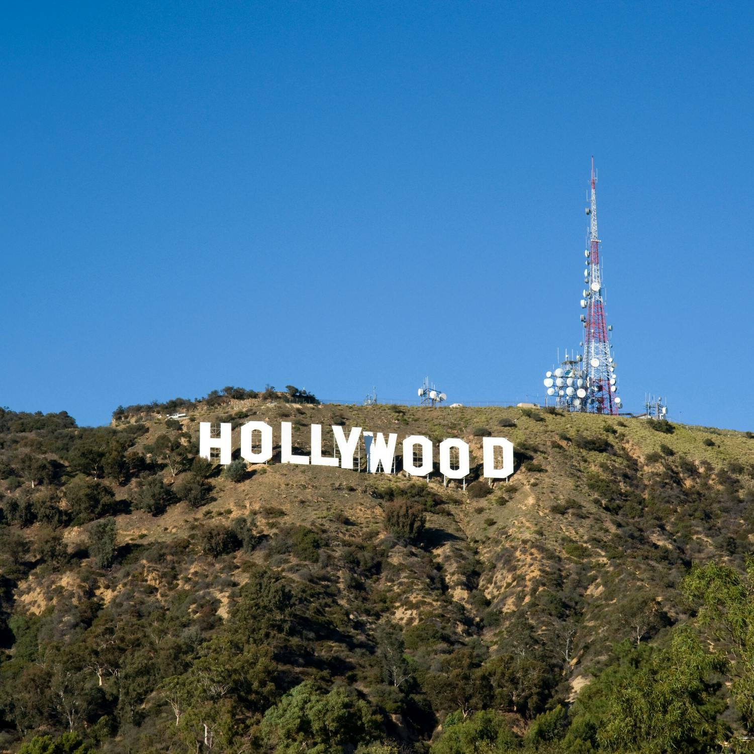 Inside Hollywood: Big budget documentary successes
