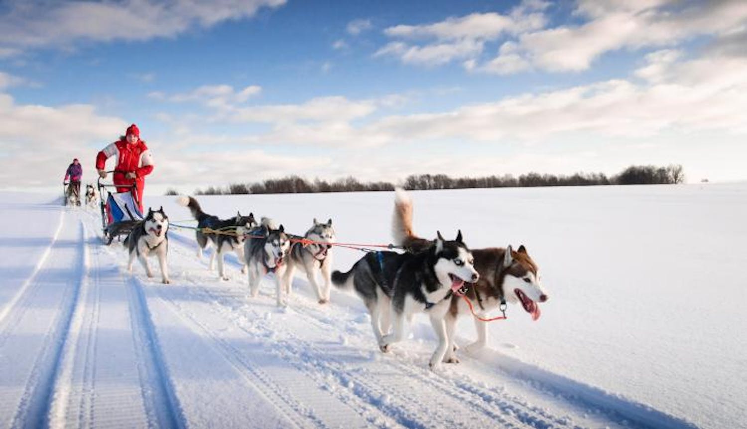 "Husky Sledding was the best." Henry McKean in Lapland