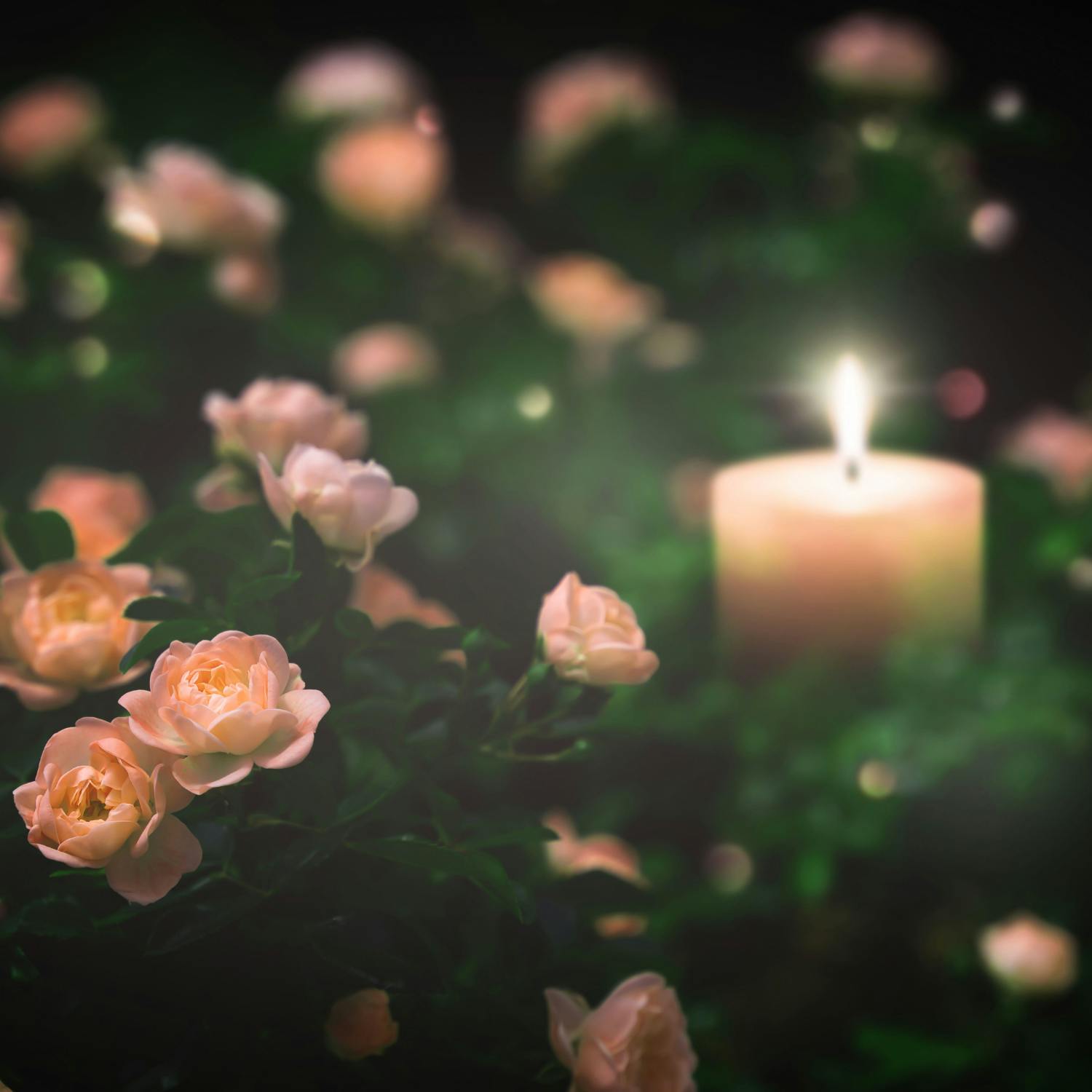 "Deadly Conversations" workshops with the Irish Hospice Foundation and Axis Ballymun Image