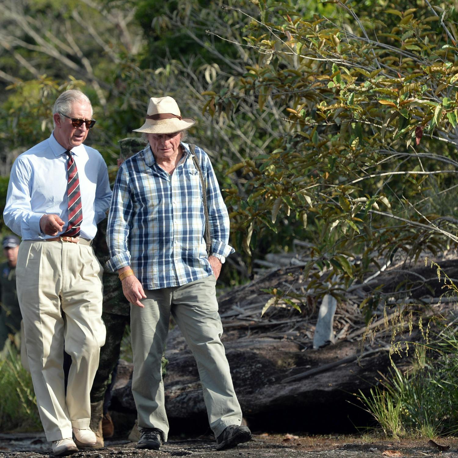 Can the Amazon be saved? Martin Von Hildebrand on his lifelong mission