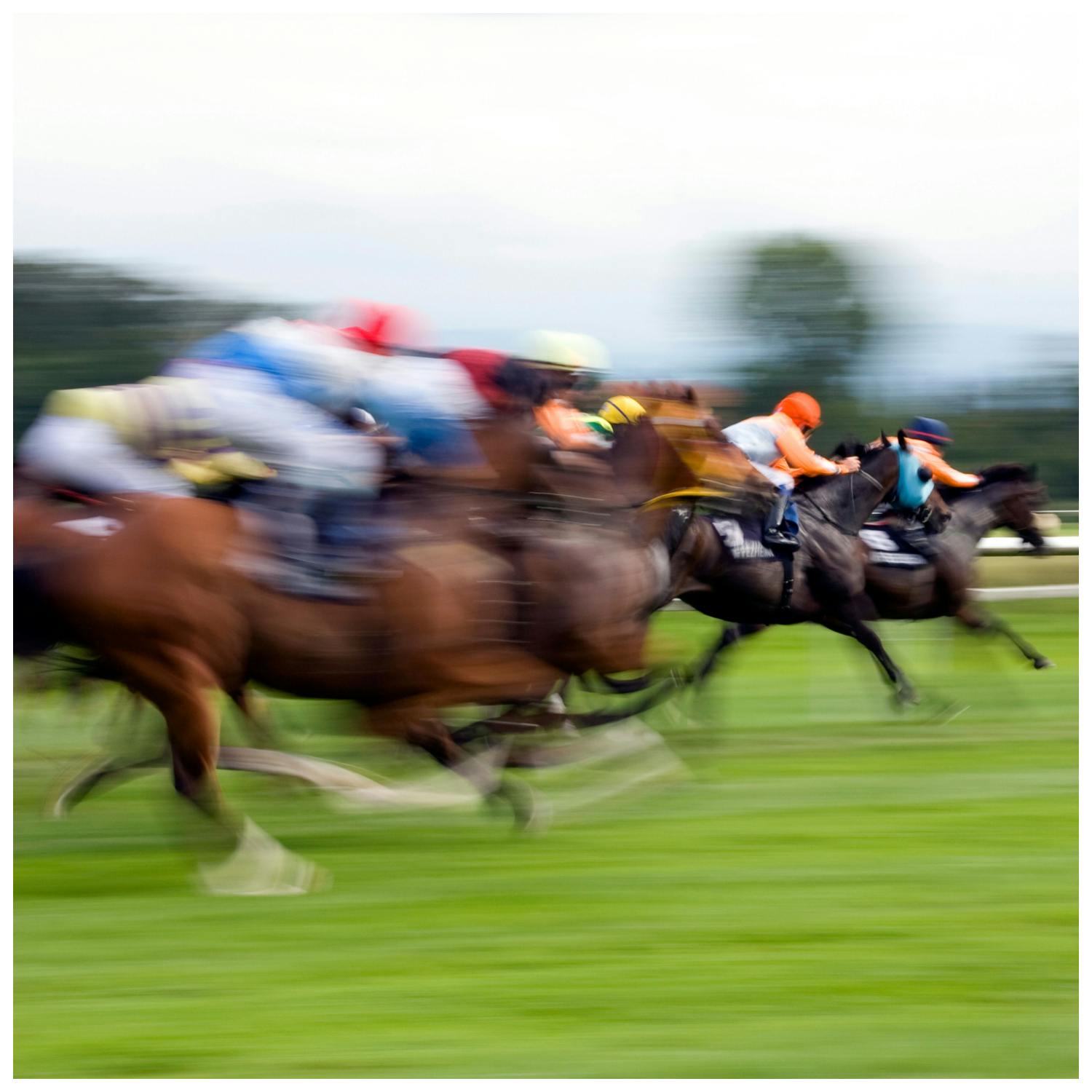 Gift Grub: The 'Mammy's Words of Wisdom' Mother's Day Hurdle from Cheltenham Image