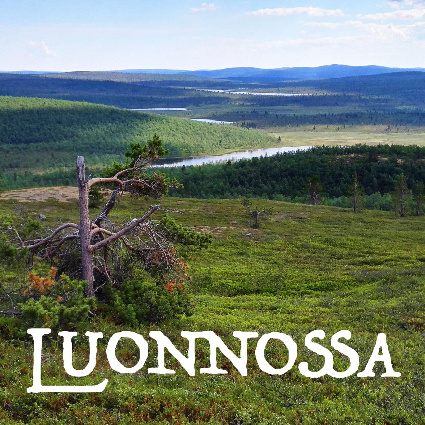 Alkusyksy Hirvensalmella episode artwork