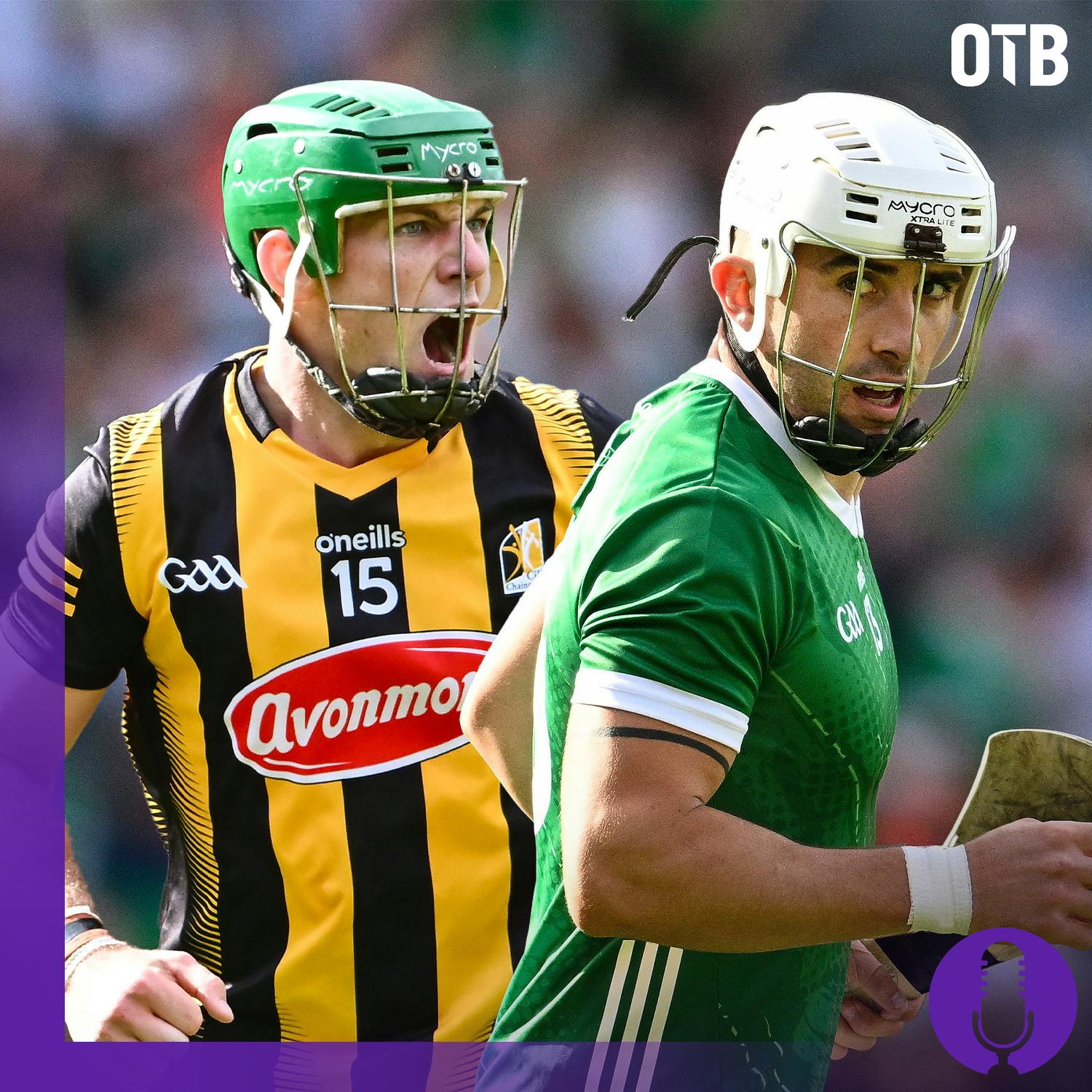 ALLIRELAND HURLING FINAL Herity & O'Connor on Limerick vs Kilkenny