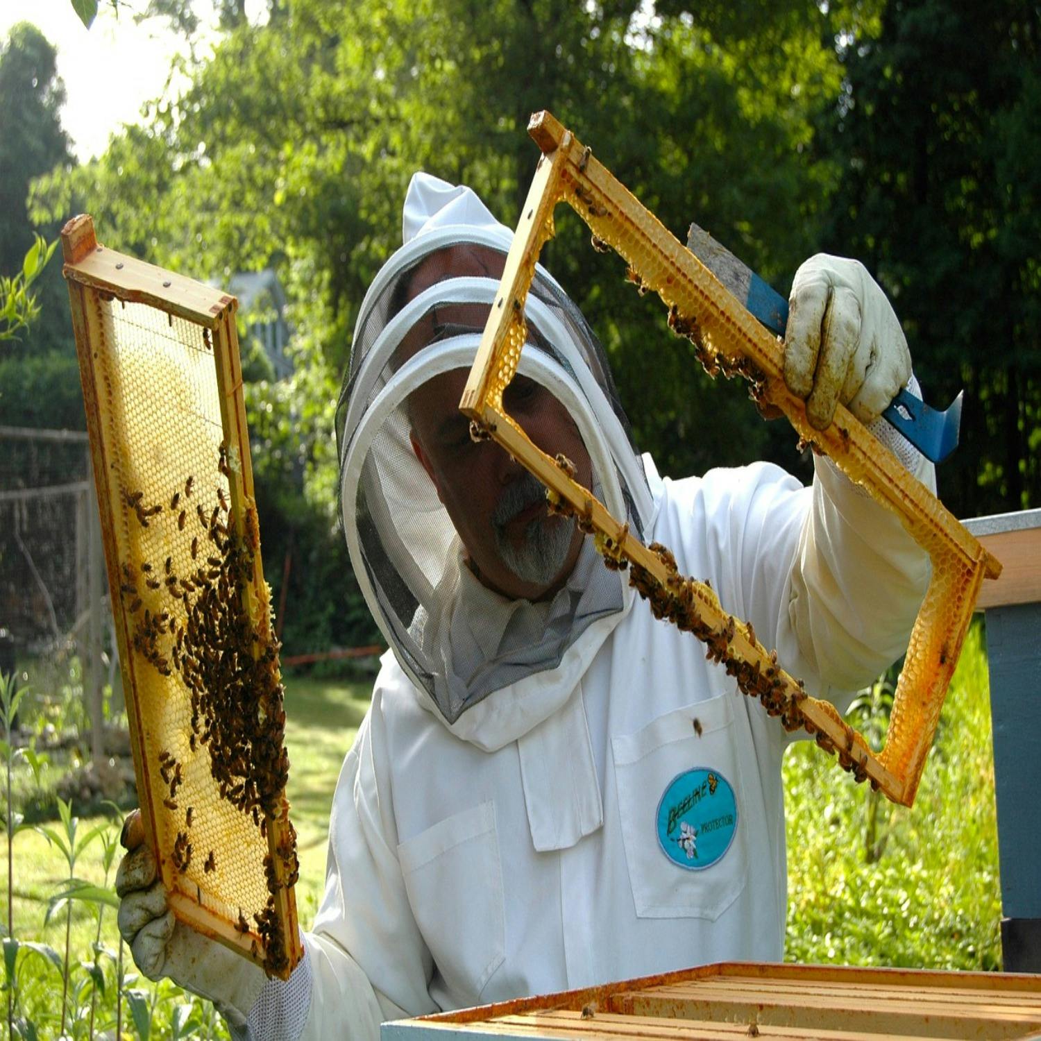 How I Live Well: Beekeeping