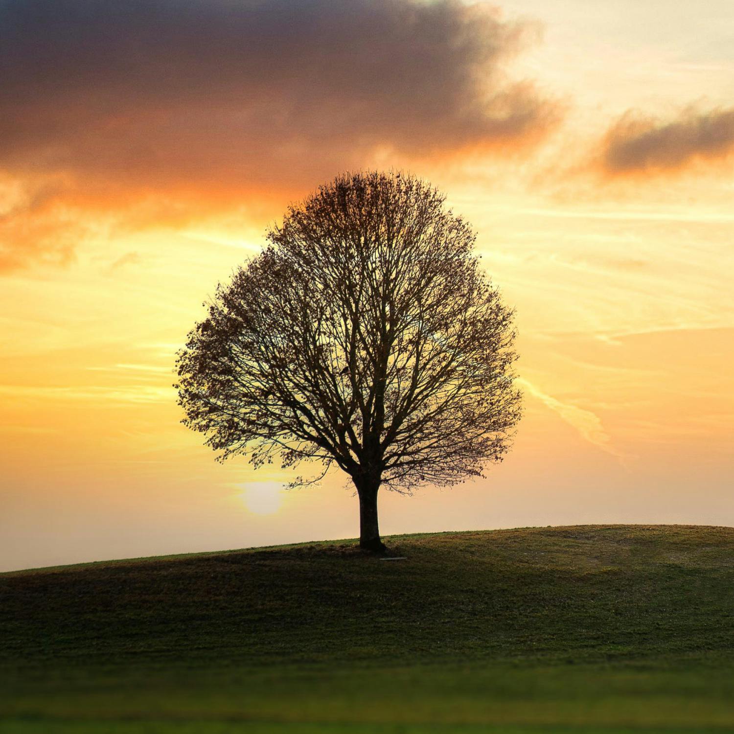 What is the cost of being single? What is the cost of being single?