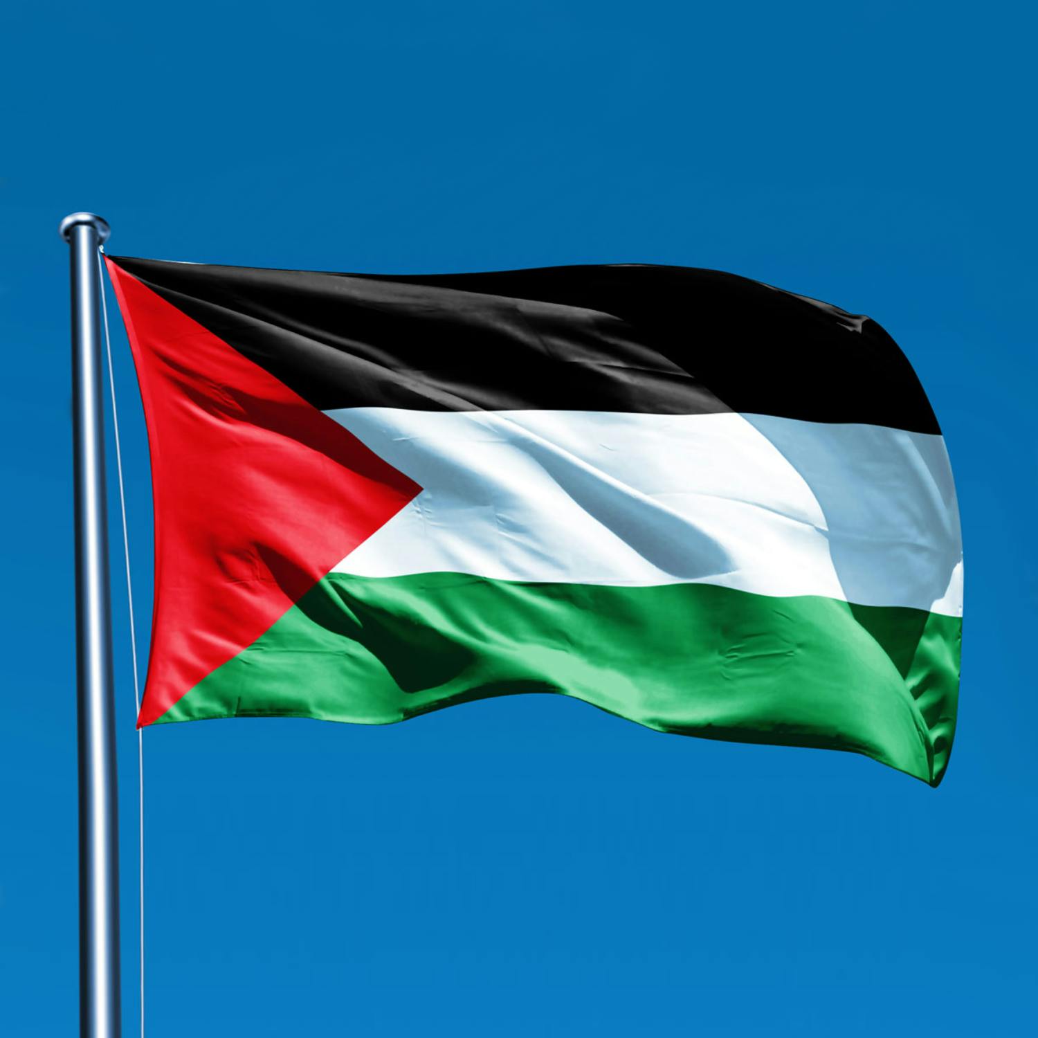 Having survivor’s guilt after leaving Gaza episode artwork