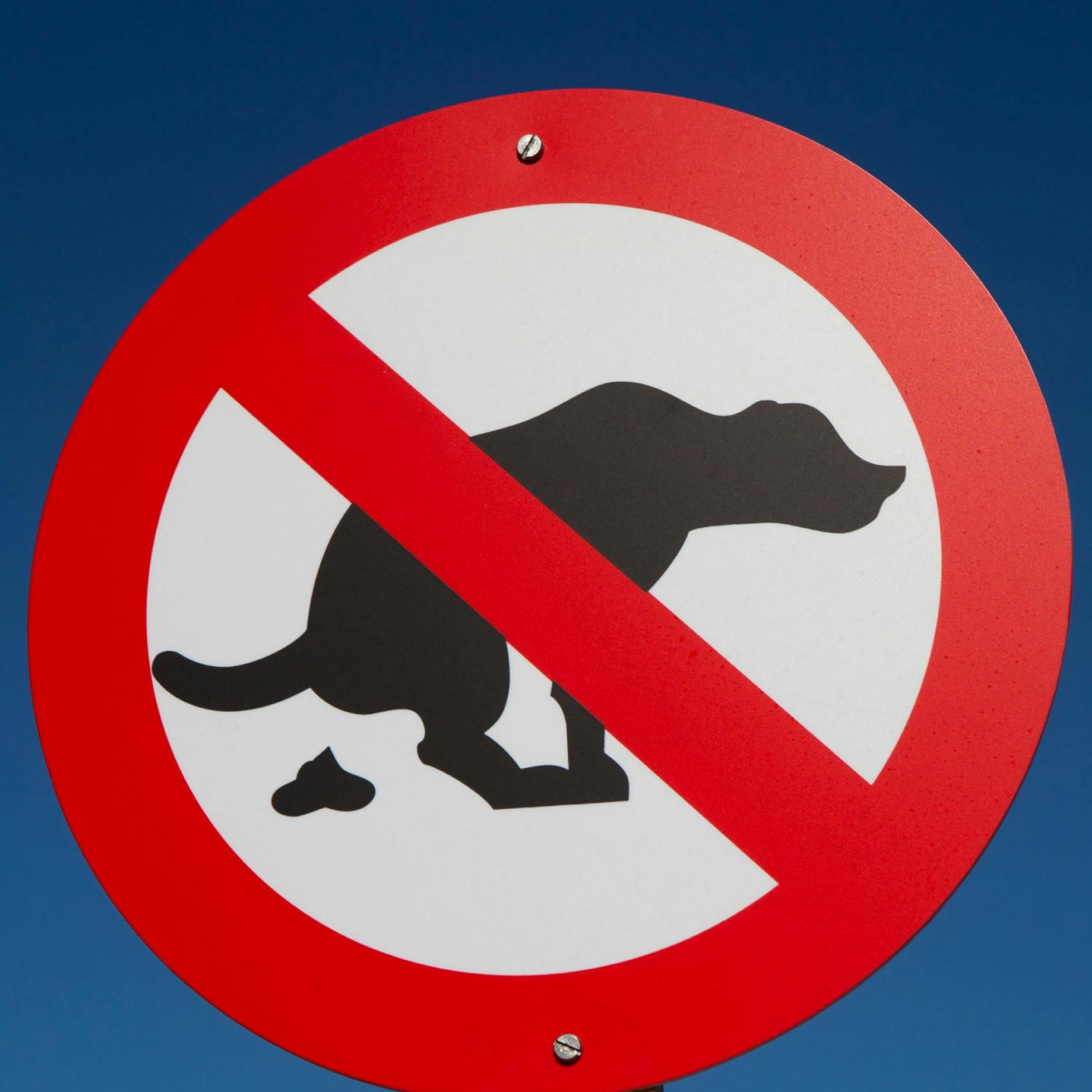 Should some public spaces be dog-free?