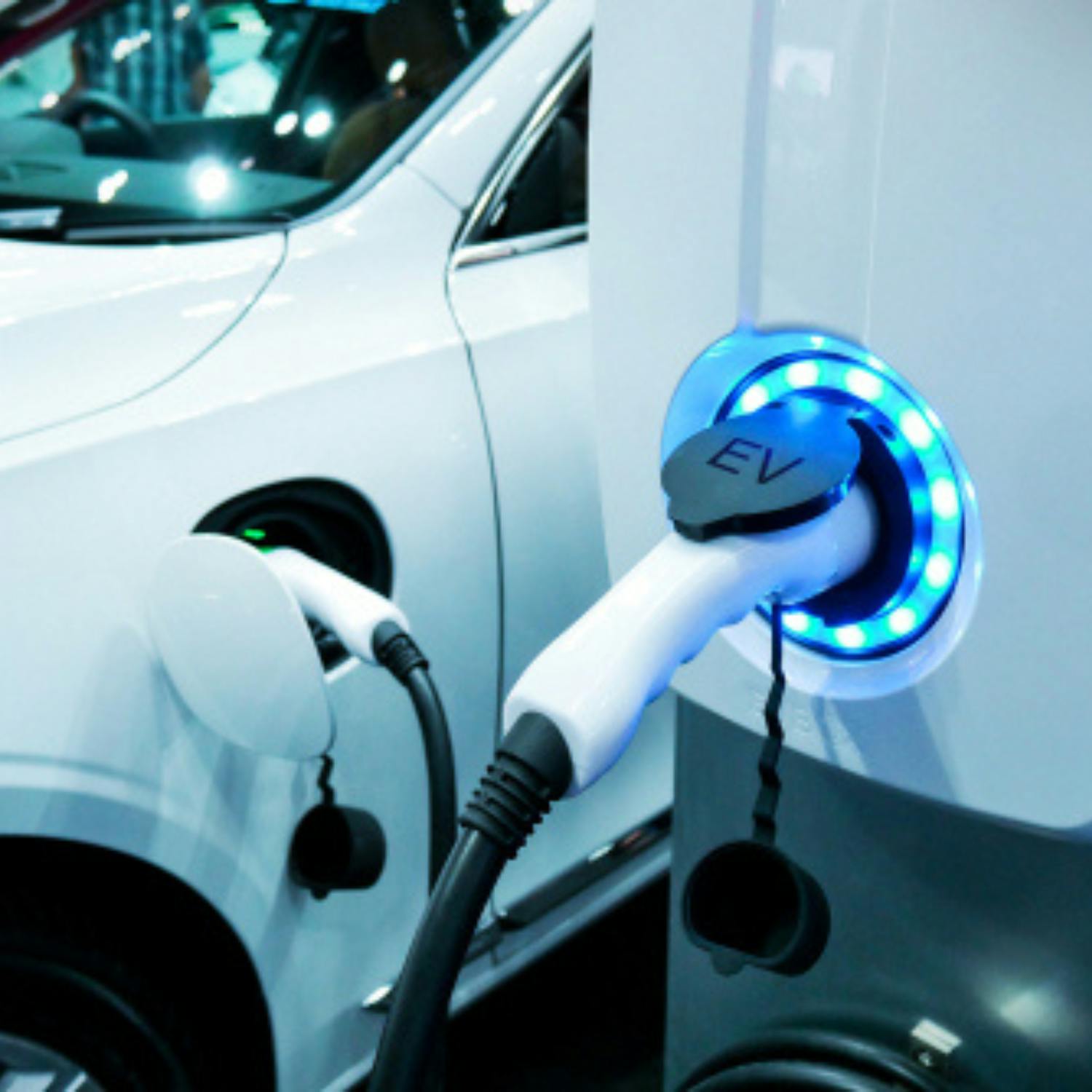 Electric car sales drop 41%