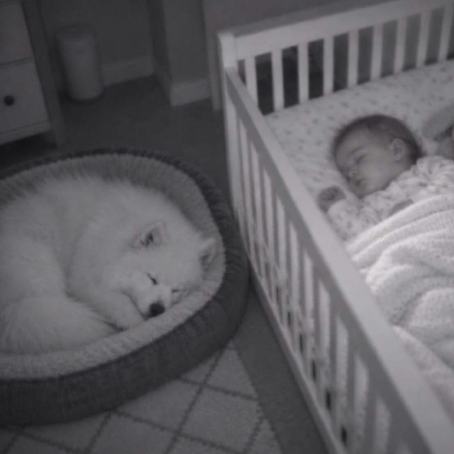 Listeners Demand Woman Is Reported After She Reveals Her Baby is Left Alone With Family Dog
