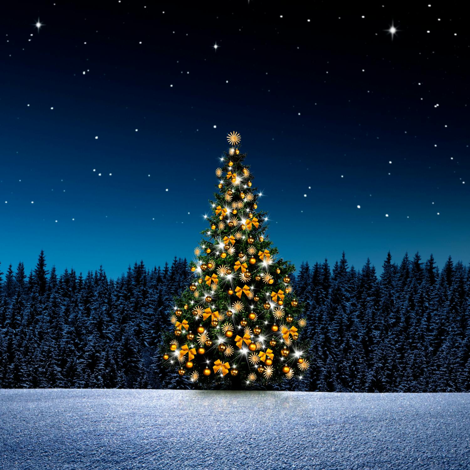 Singer Kiera Dignam on the Light Up A Christmas Tree campaign