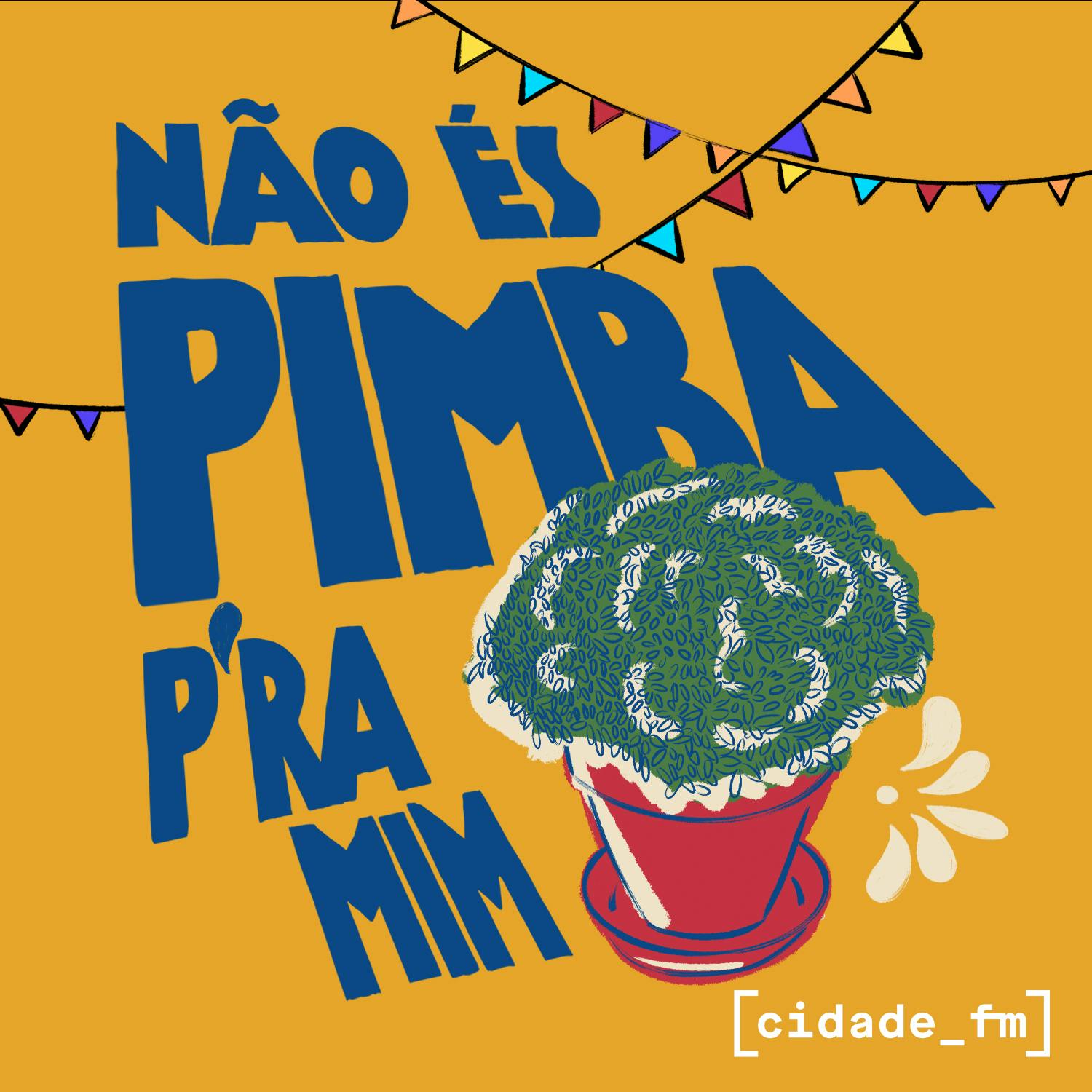 Não És Pimba P'ra Mim