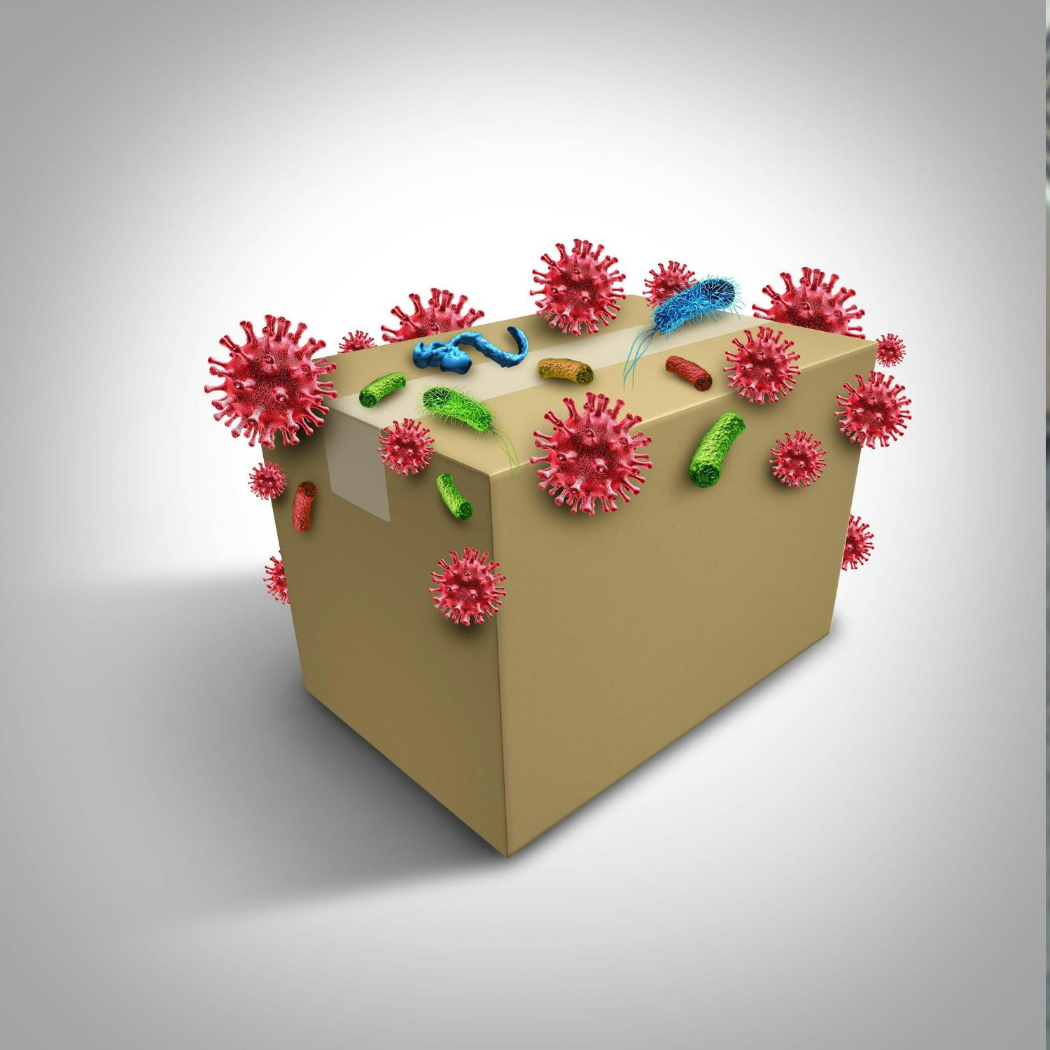 Surprising places germs could be hiding in our homes