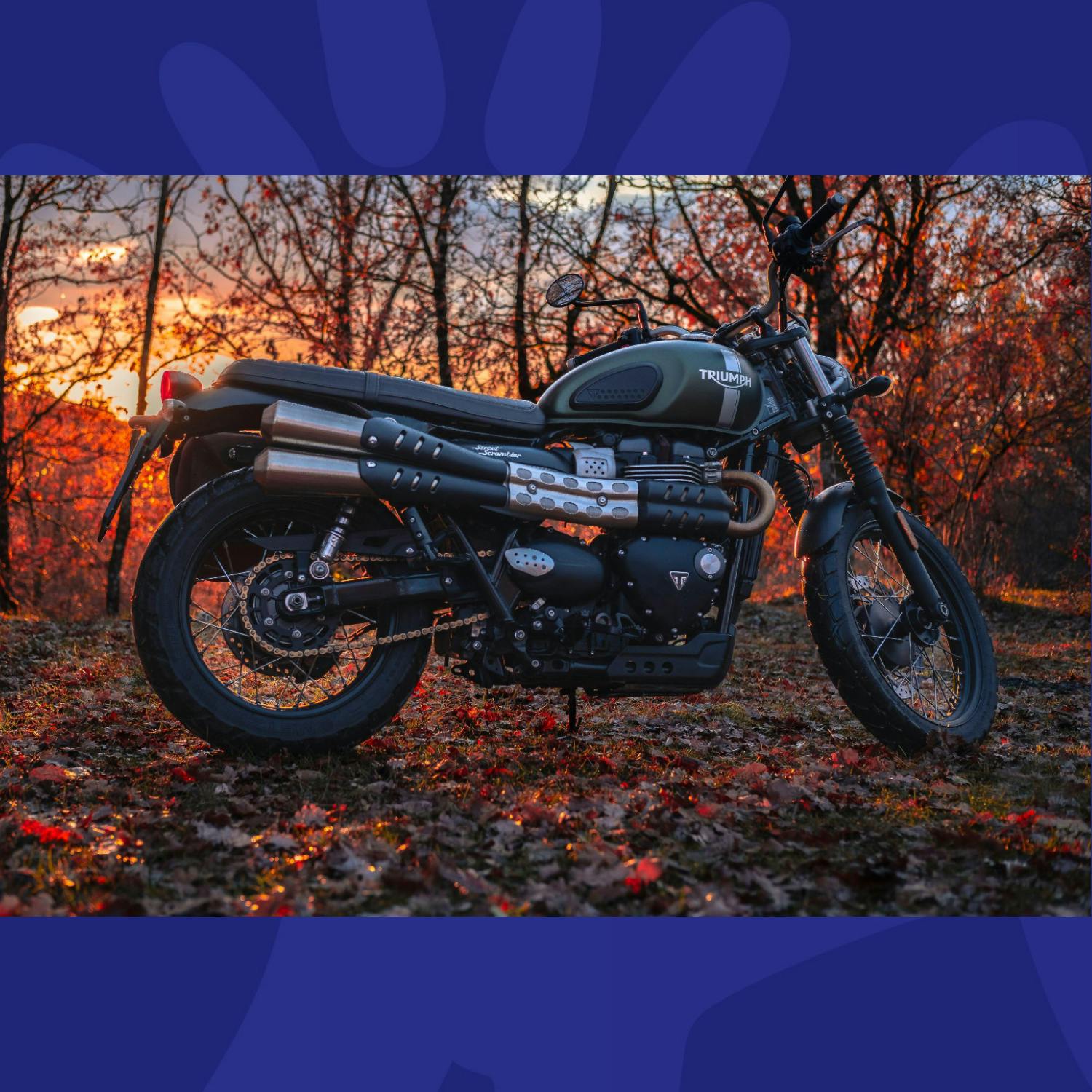 What Are The Rules And Regulations Around Scramblers?