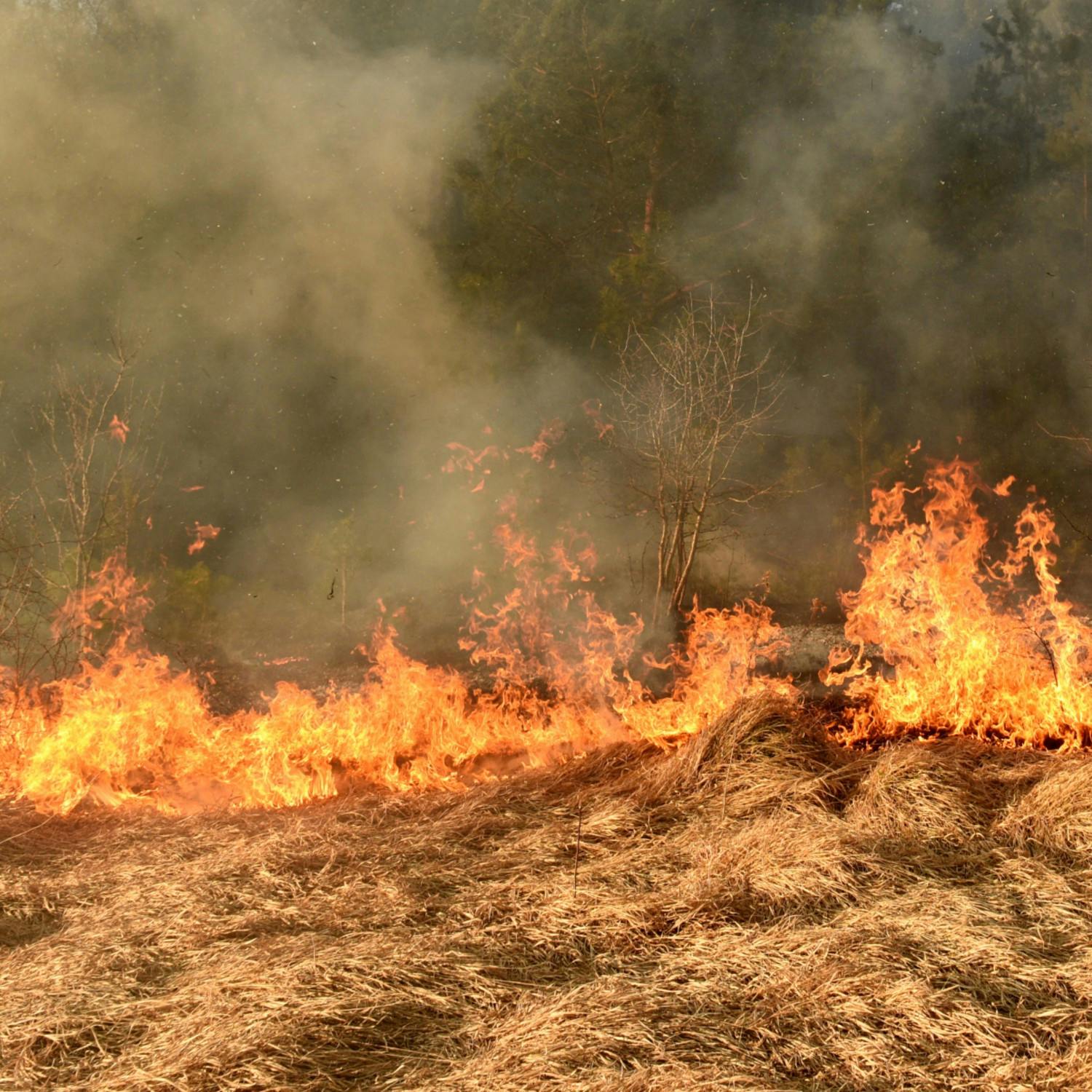 Wildfires continue to hit France