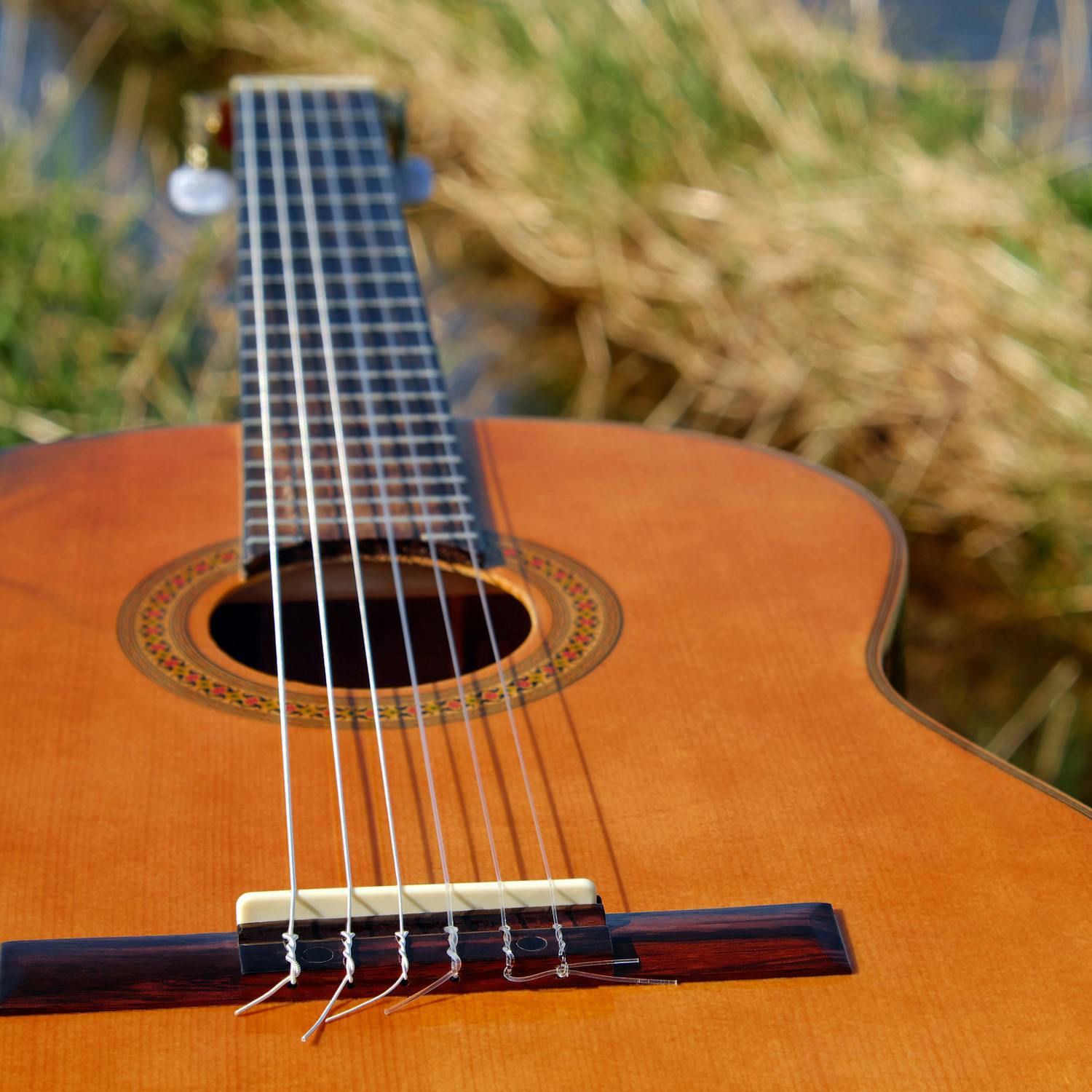 Does learning an instrument prevent ‘brain rot’?