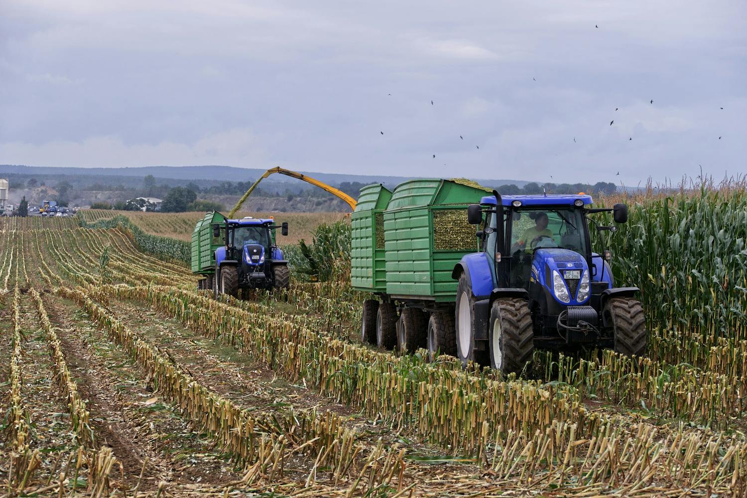 Farming: Farmers will be protesting in Dublin episode artwork