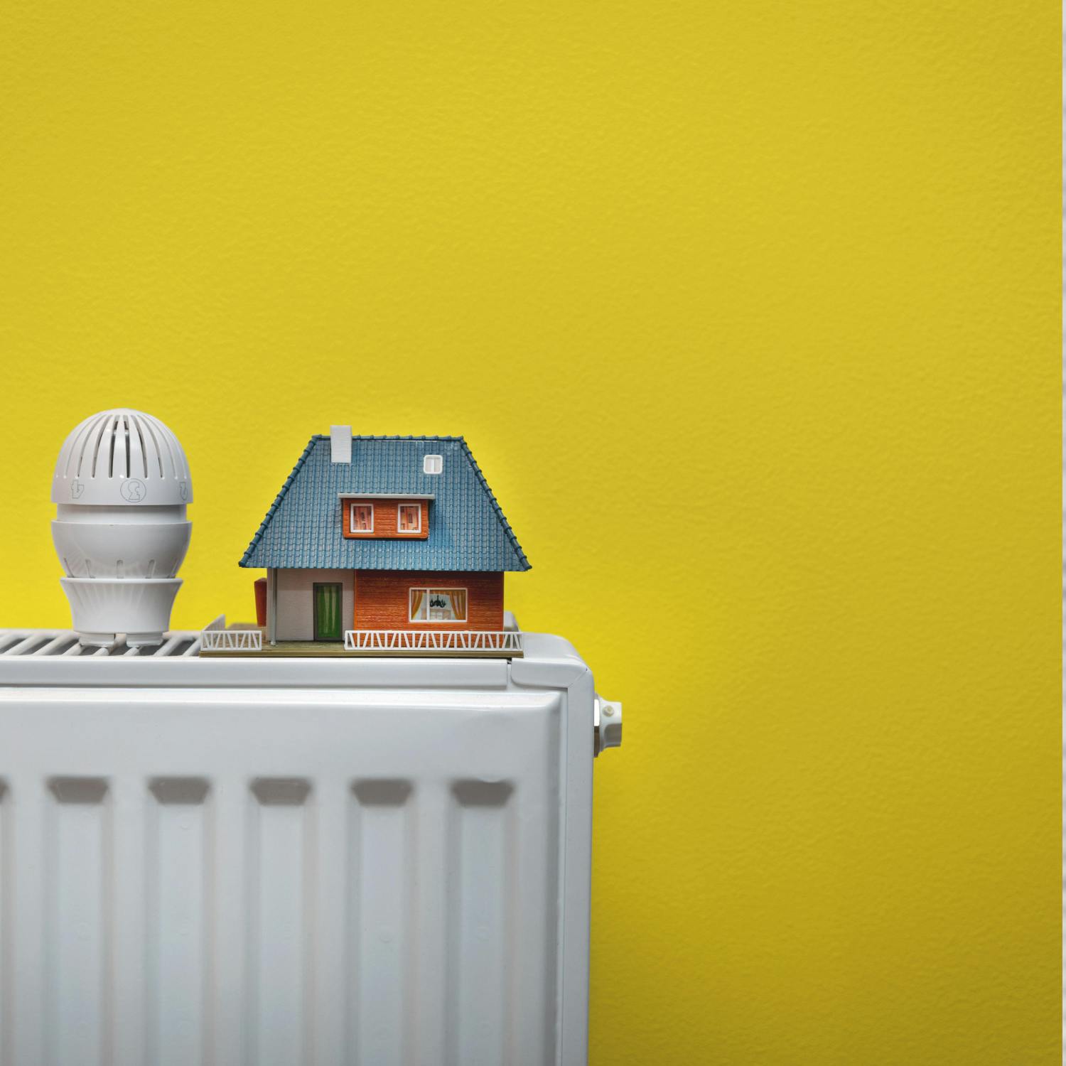 Call for improved heating in rental properties