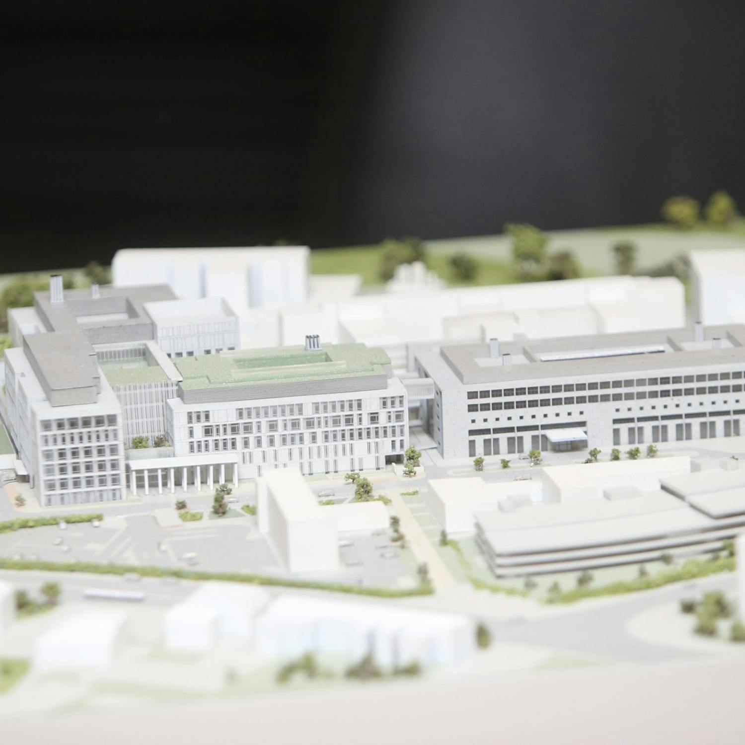 'Unless they own the land there's going to be real problems' 'Unless they own the land there's going to be real problems'