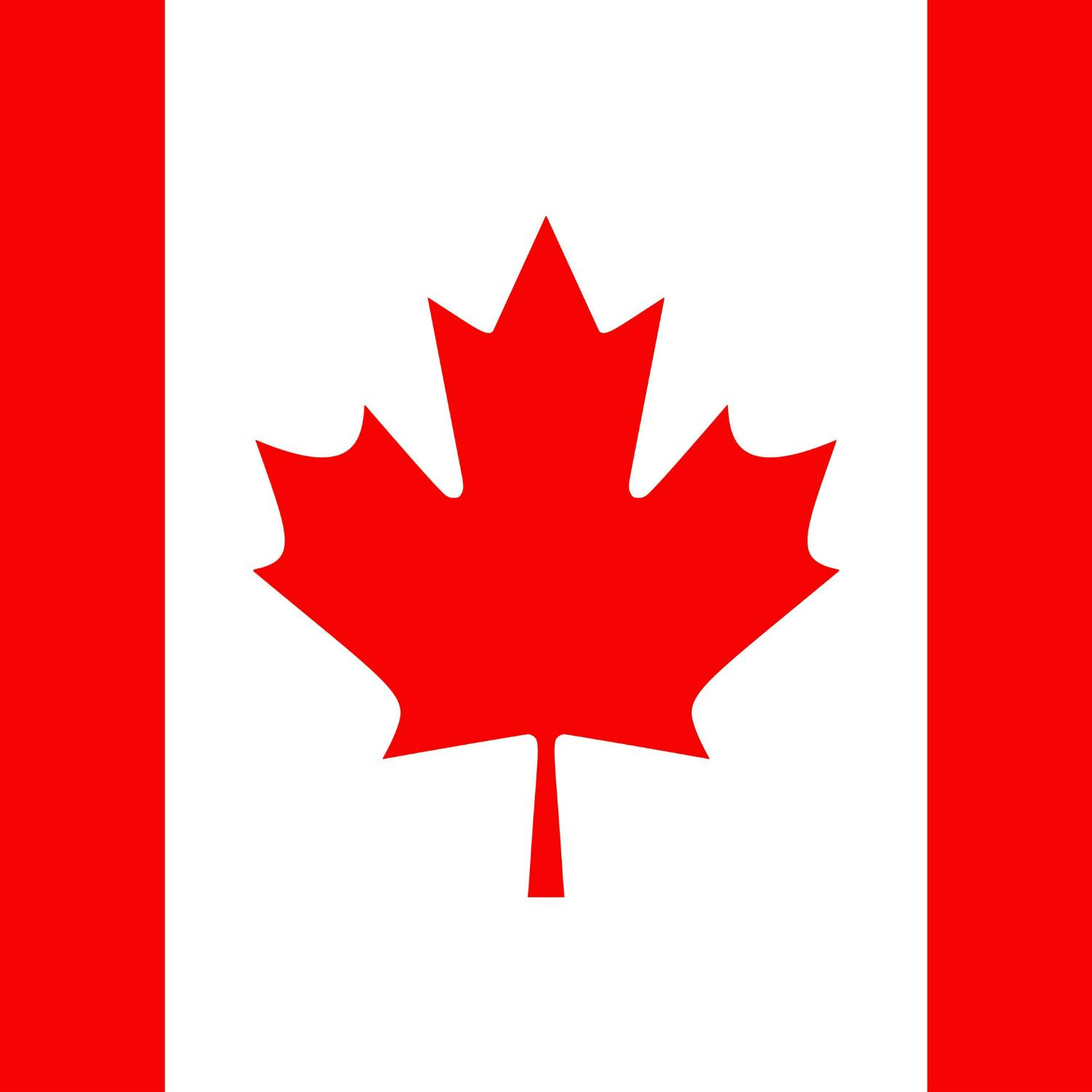 Why is news content not allowed on several major social media platforms within Canada?
