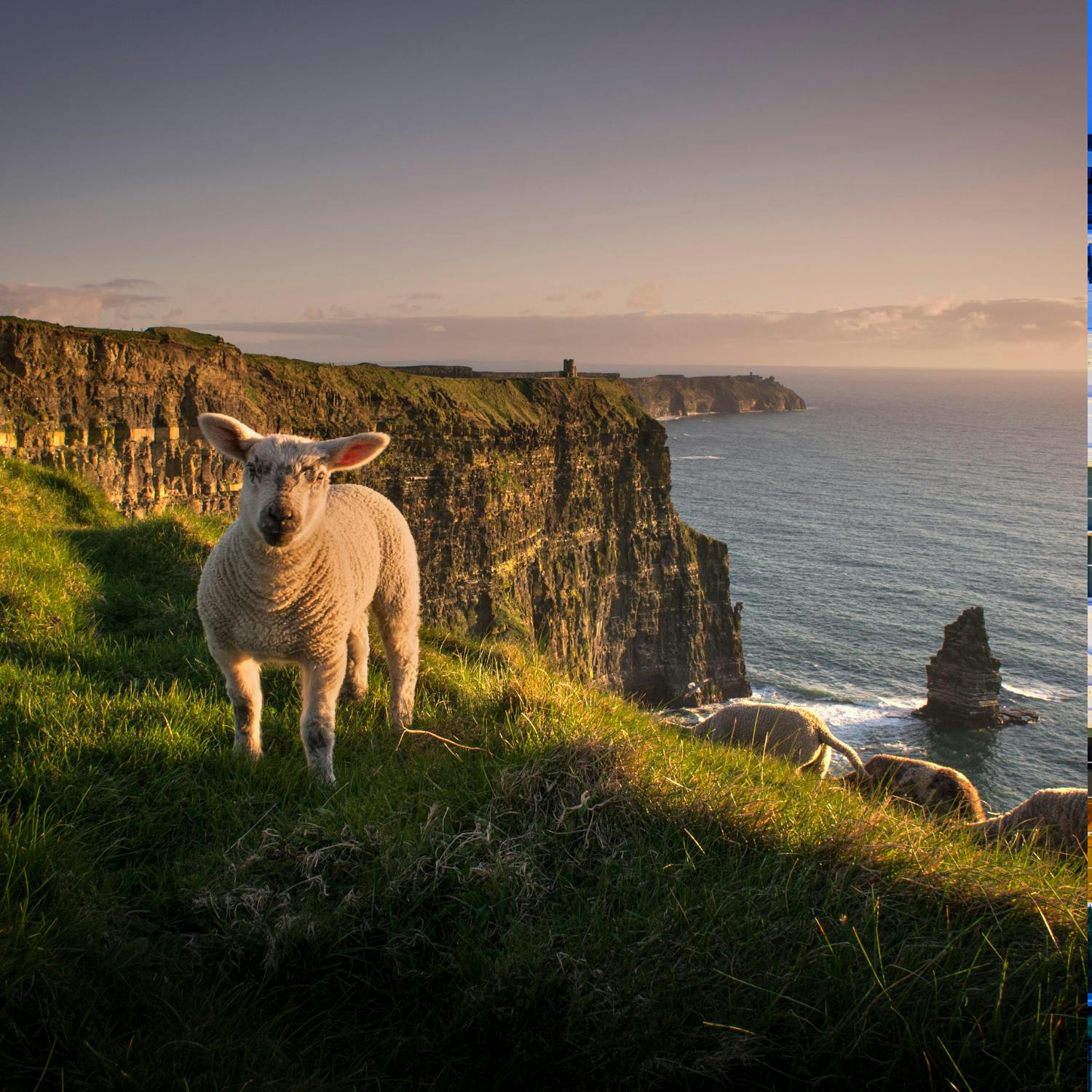Cliffs of Moher carbon Fee for visitors