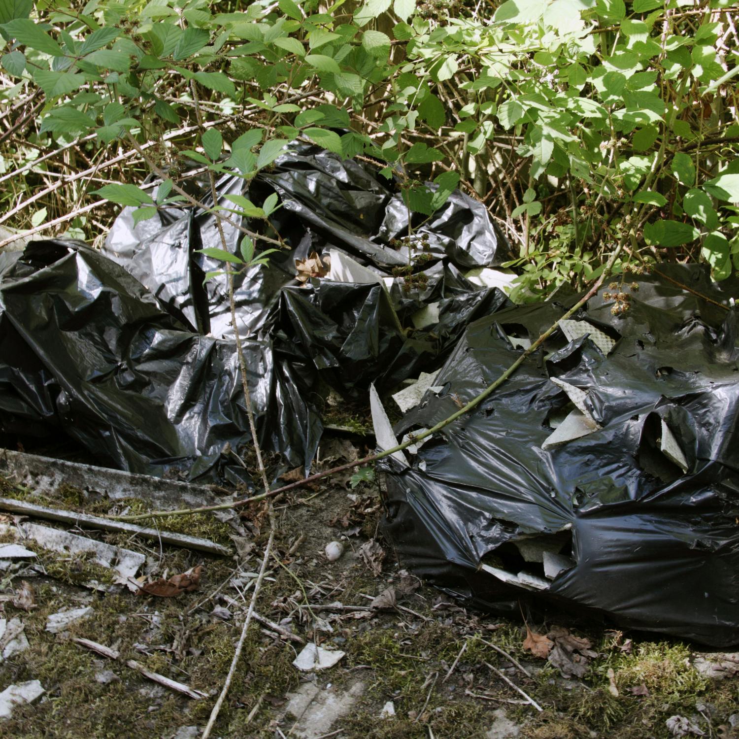 How 54 tonnes of waste removed from the uplands of Wicklow and Dublin.