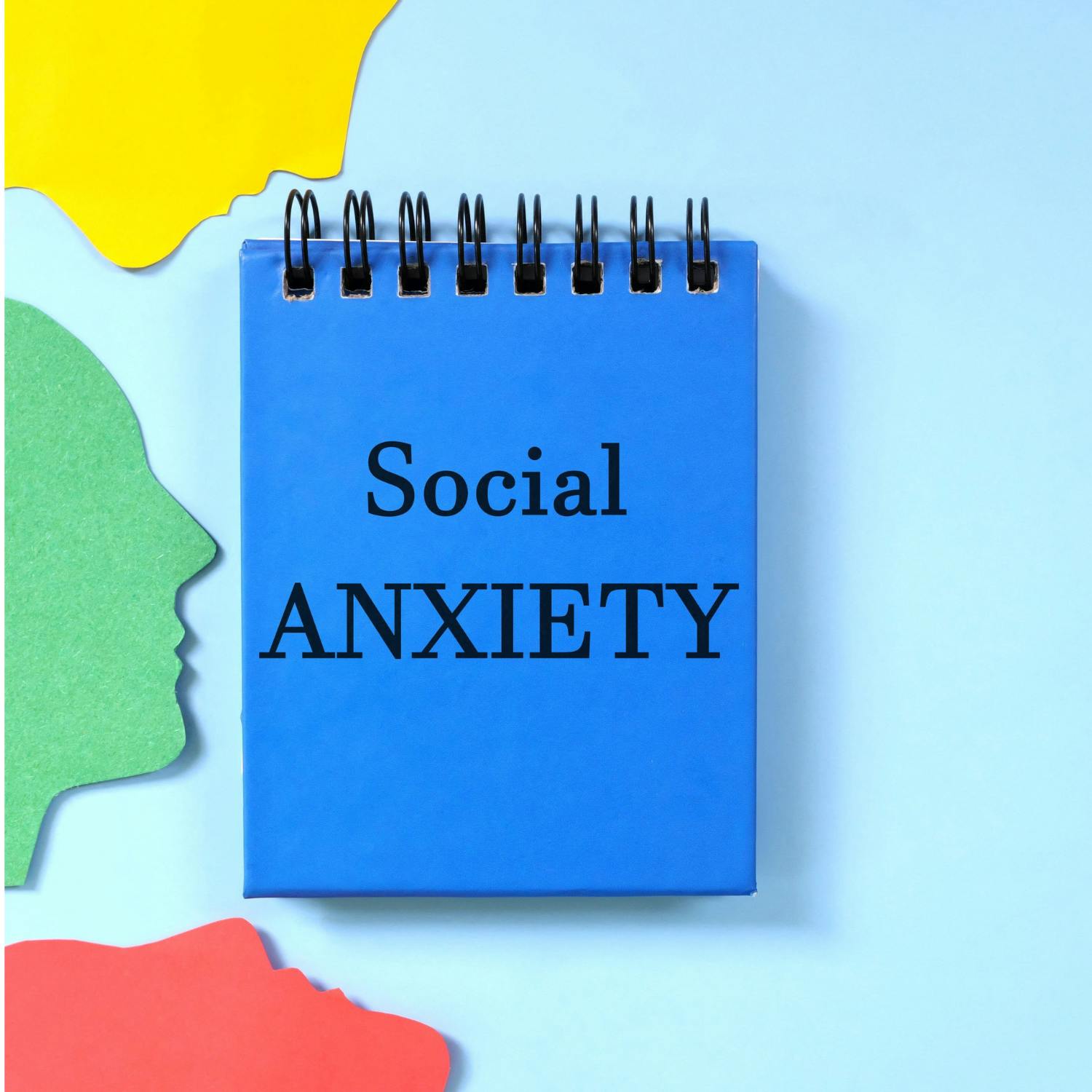 What is social interactional anxiety?