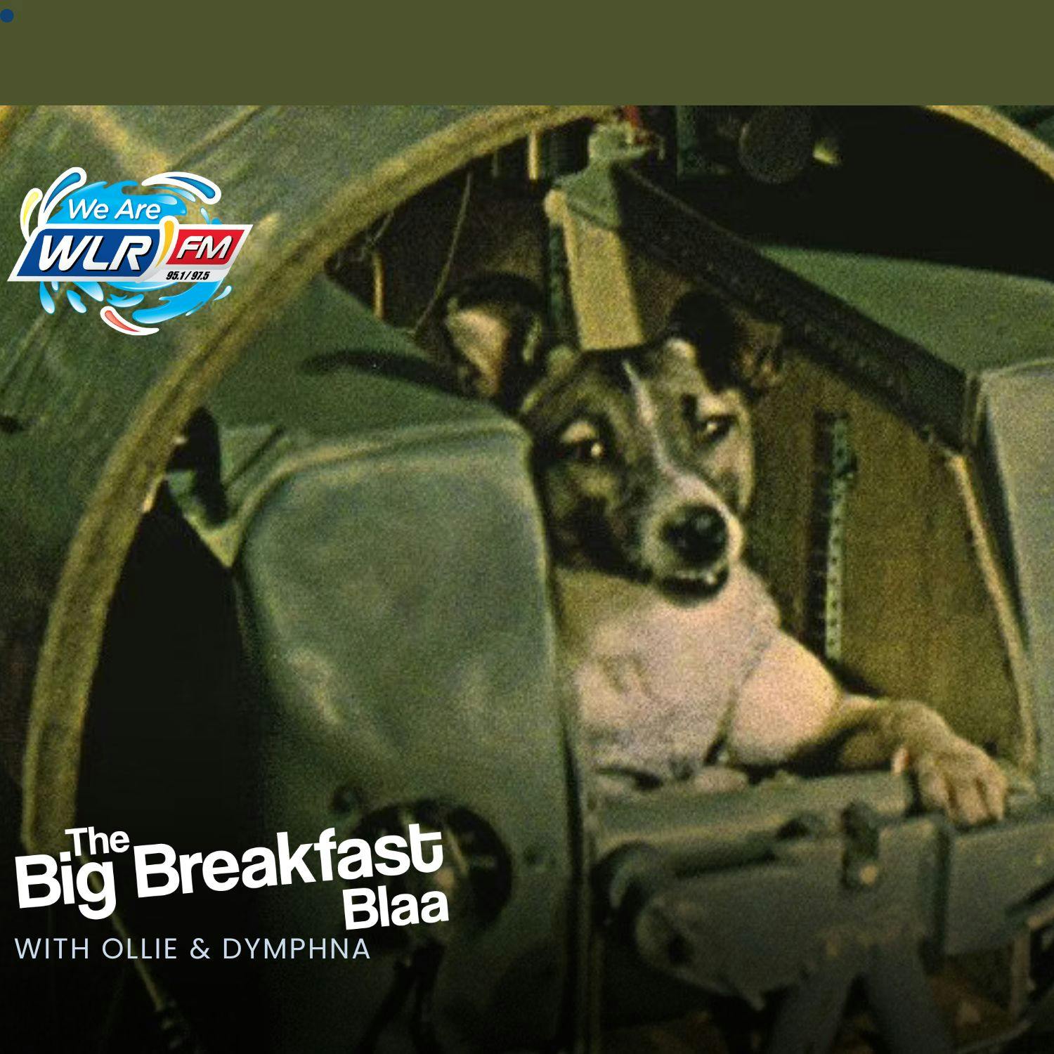 An Ode to a Soviet Space Dog: Eurovision 2025 gets underway episode artwork