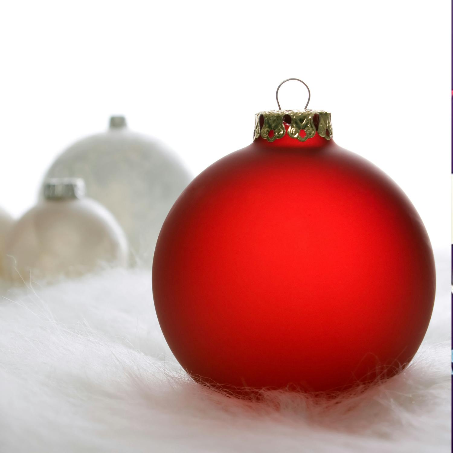 Friday Christmas Food with Gareth Mullins