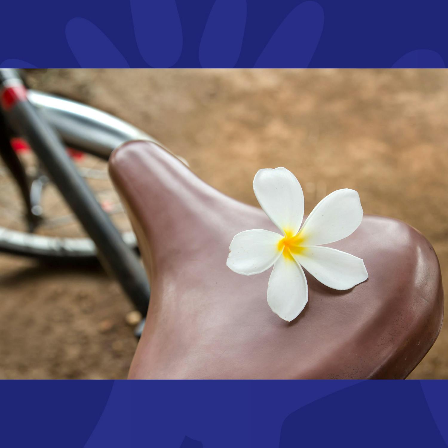 Why Do Women Get Comfy Bike Saddles?