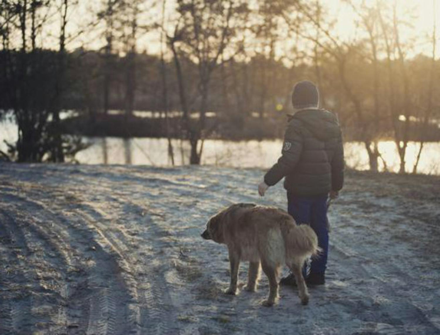 Walking your pets in the winter