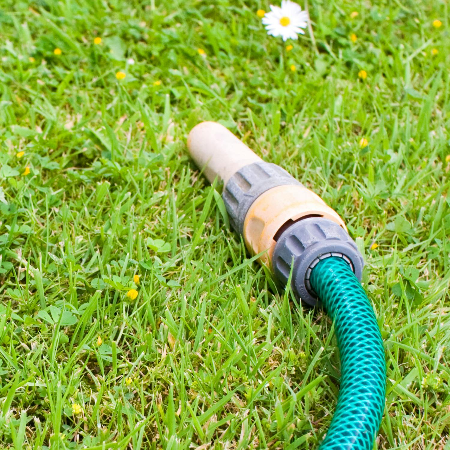 How strictly should we follow the hosepipe ban?
