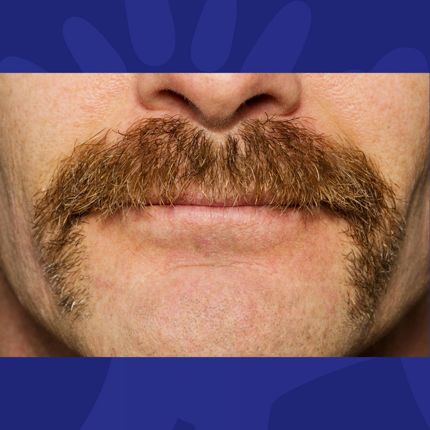 Ray has made some music, a show baby has been born and Movember is upon us! Ray has made some music, a show baby has been born and Movember is upon us!