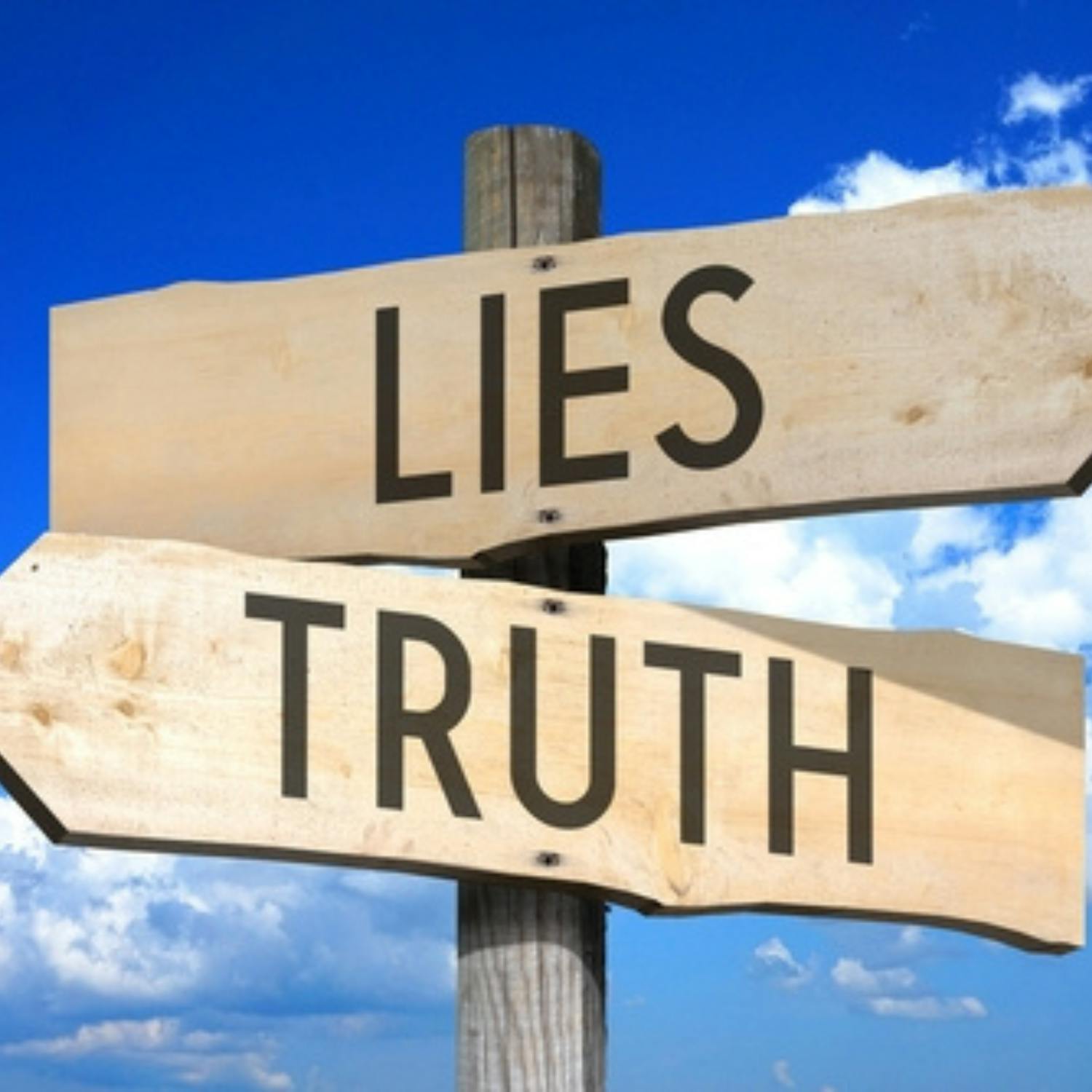 Should politicians be criminalised for lying? episode artwork